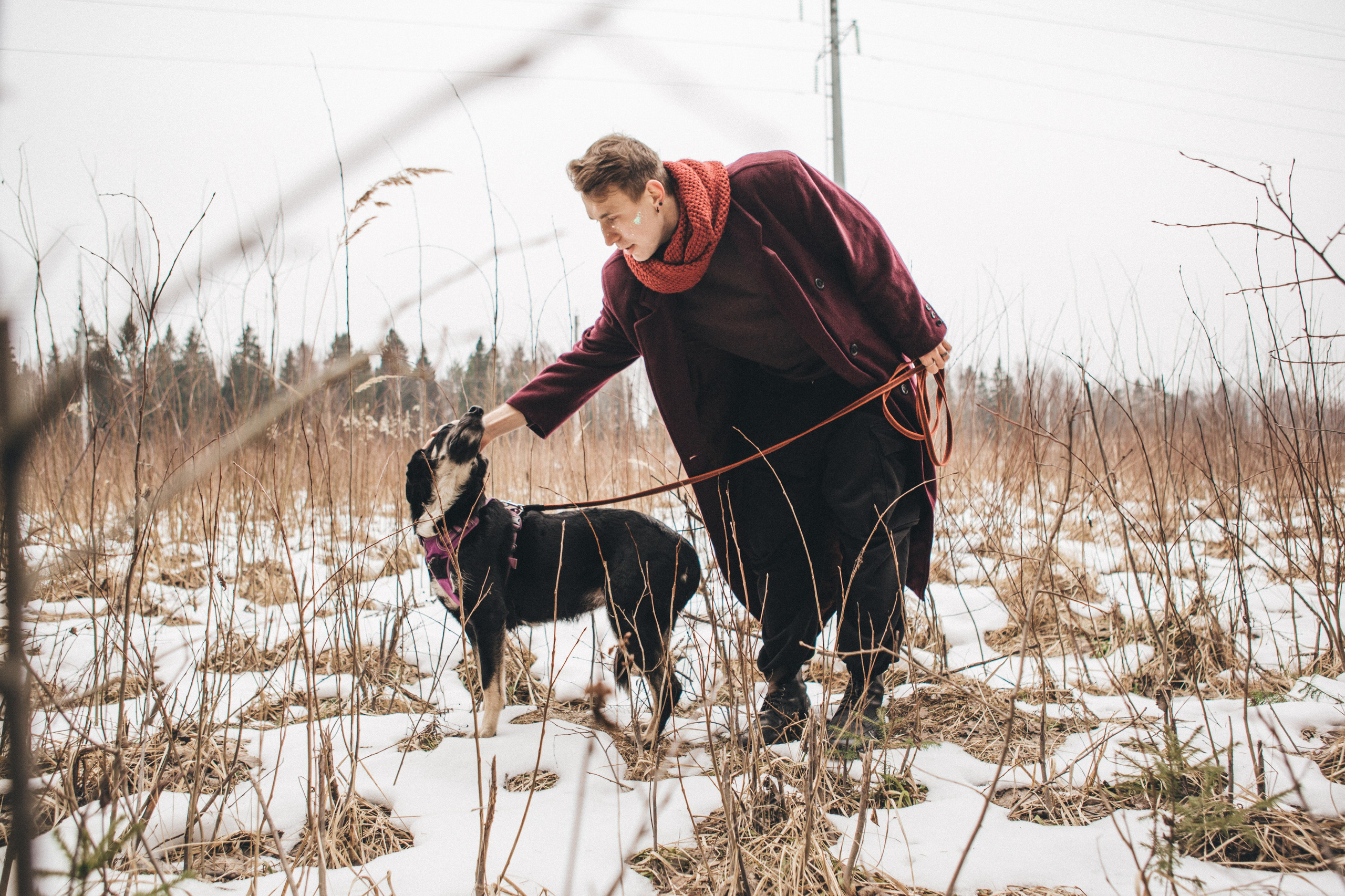 A cinematic tale of true love and unbreakable friendship between a man and a dog. Portrait, family and pet photographer in Cyprus, Ksenia Bourdelle