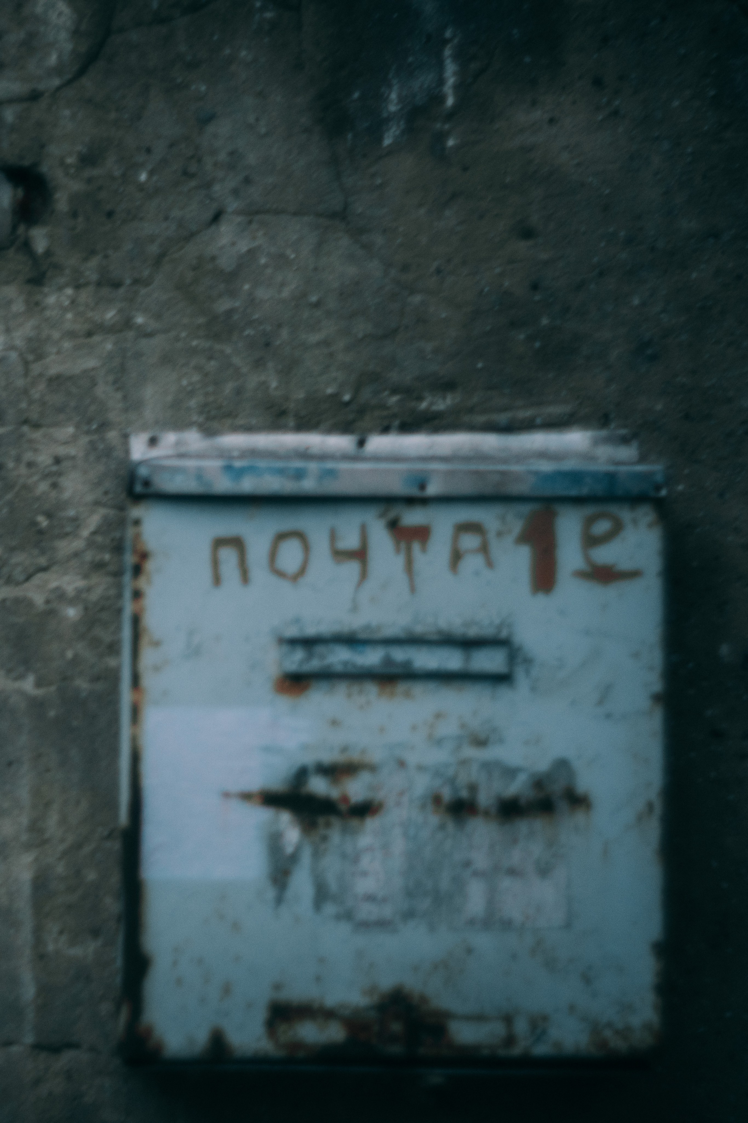 Вета. Женский семейный фотограф Тула Москва Захарова Анна