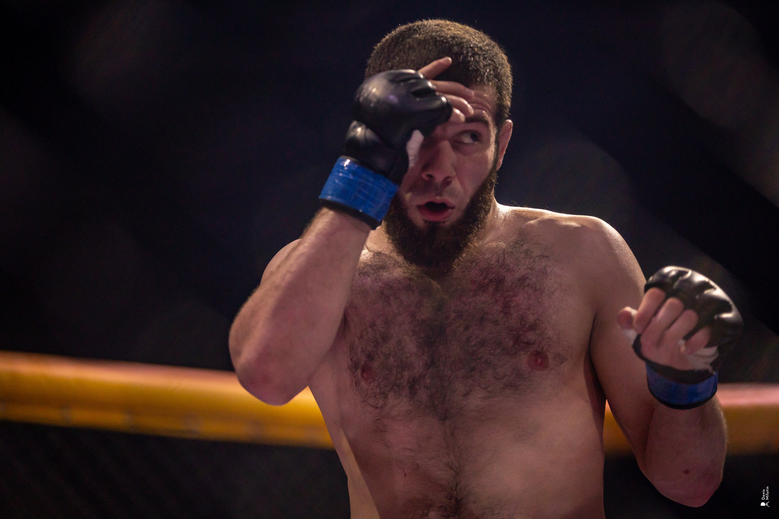 Бои в клетке «Северный Воин». Портретный фотограф Денис Милютин