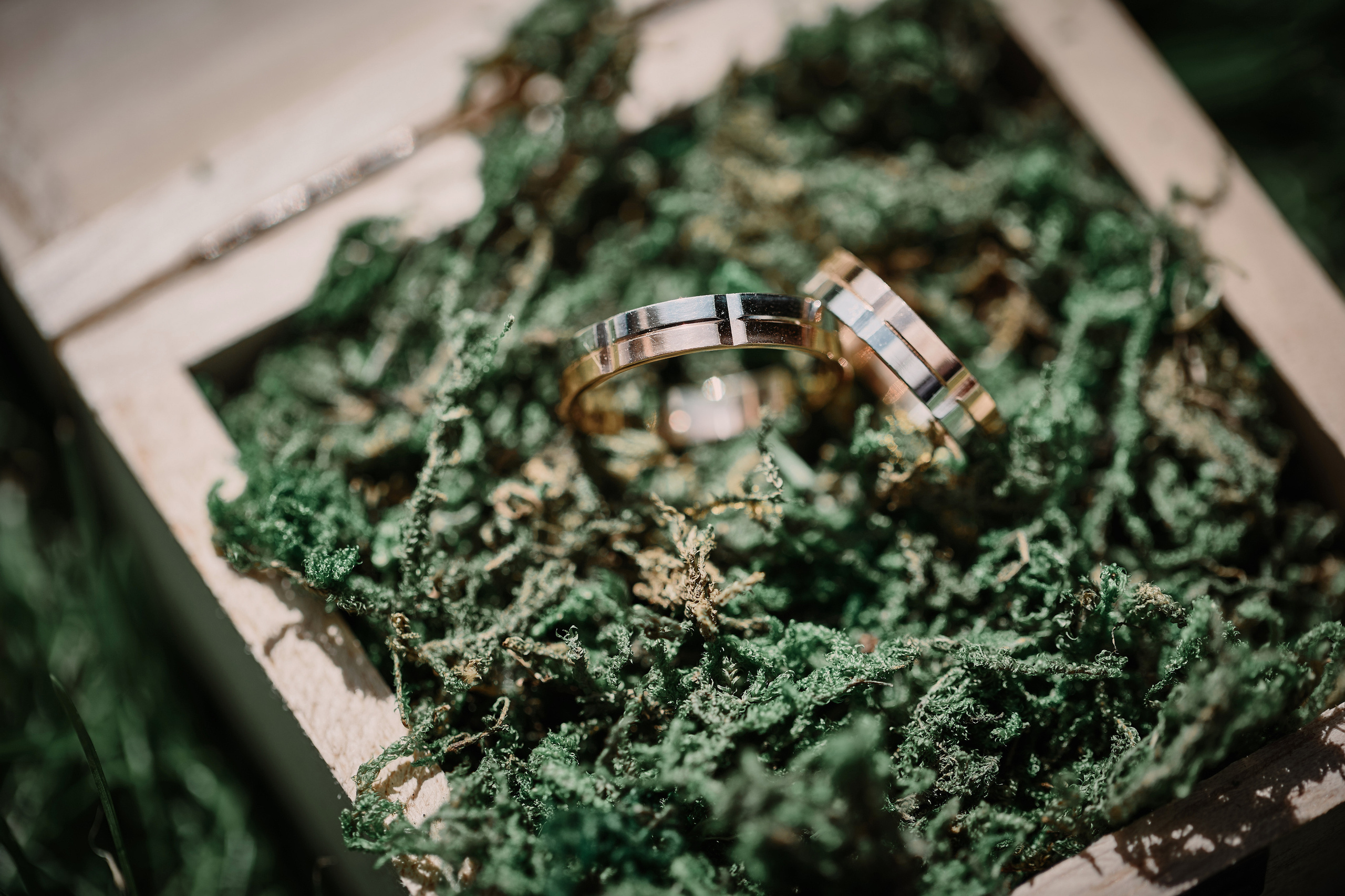 Красивая свадьба Максима и Анастасии. Эко-клуб Голицыно. Фотограф Меняйло Евгений. Свадьба. Портрет. Репортаж. Семья. Контент