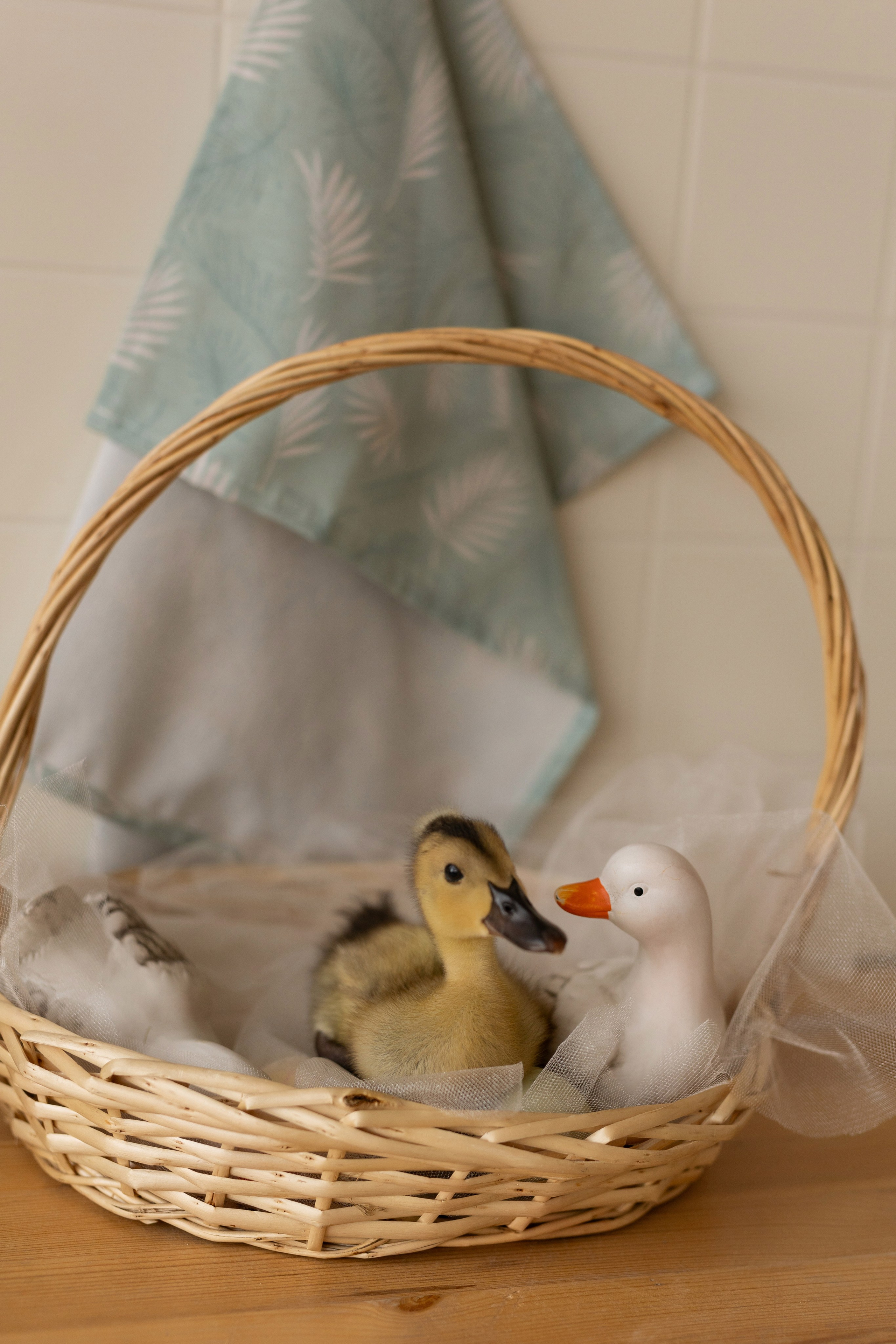 Пасхальные фотосессии. Семейный и свадебный фотограф в Санкт-Петербурге Татьяна Швыкова