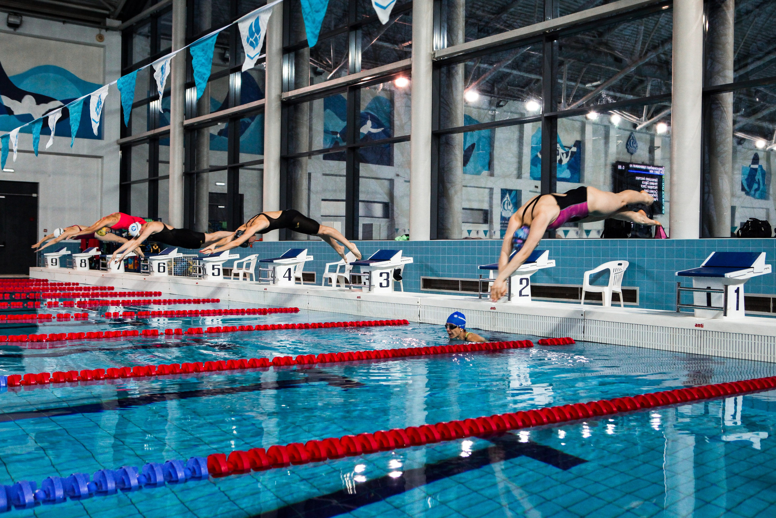 Соревнования по плаванию. Репортажный, семейный, свадебный, портретный фотограф