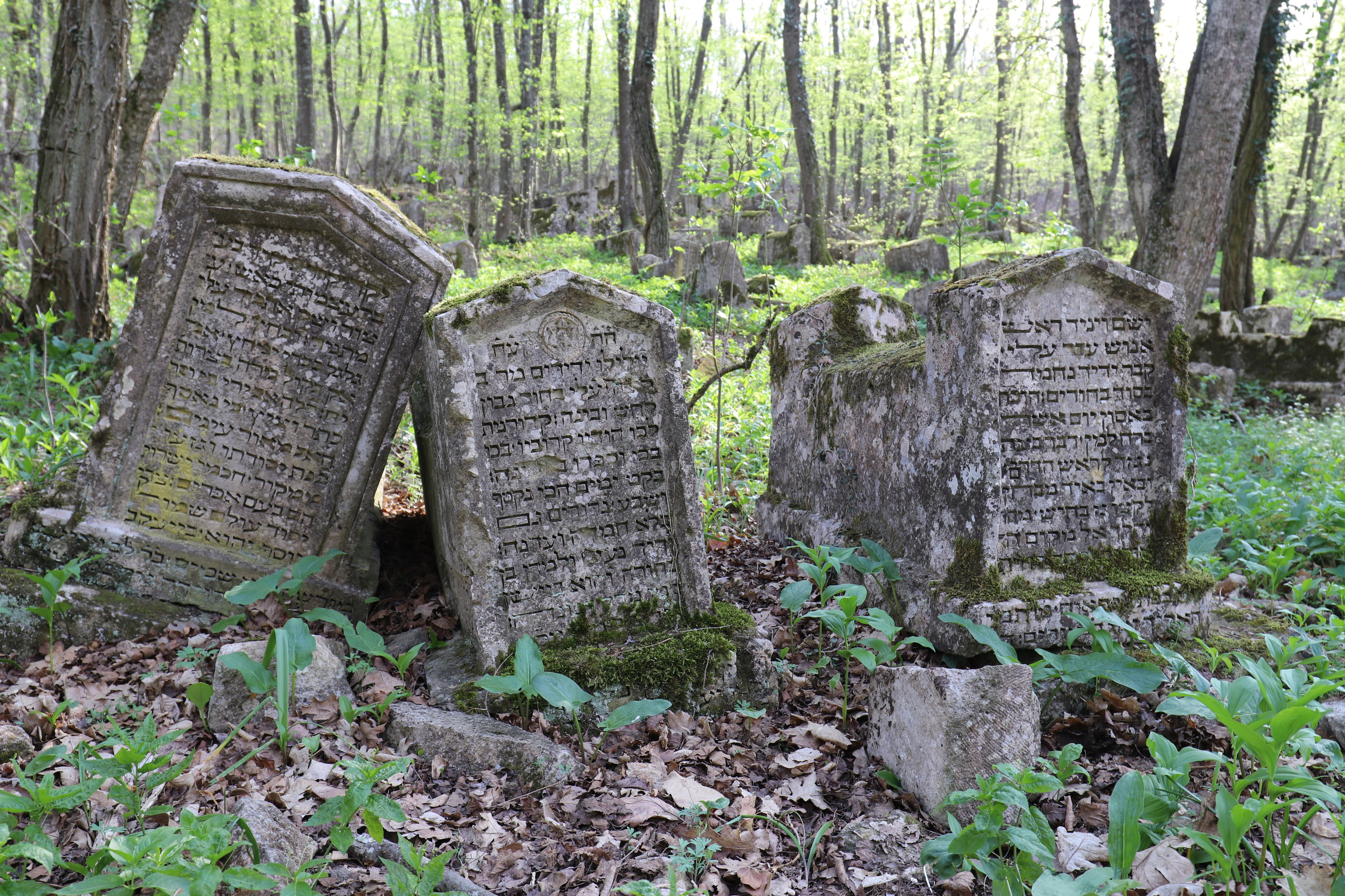 Крым. ЮБК (Бахчисарай, Кастрополь, Таракташская тропа). Май 2021. Путешественник-фотограф из Санкт-Петербурга Татьяна Свистулина