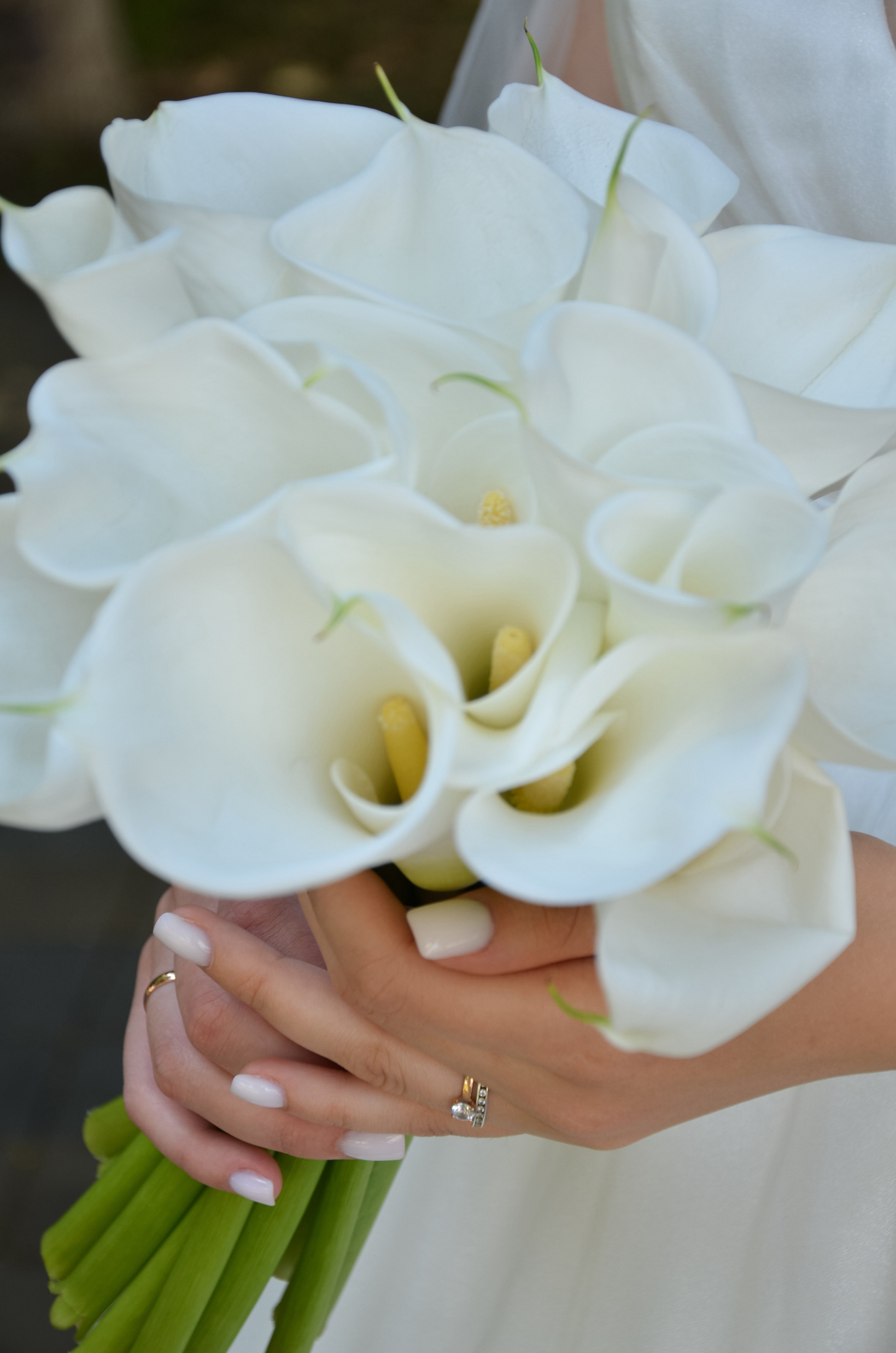 Анатолий и Мария