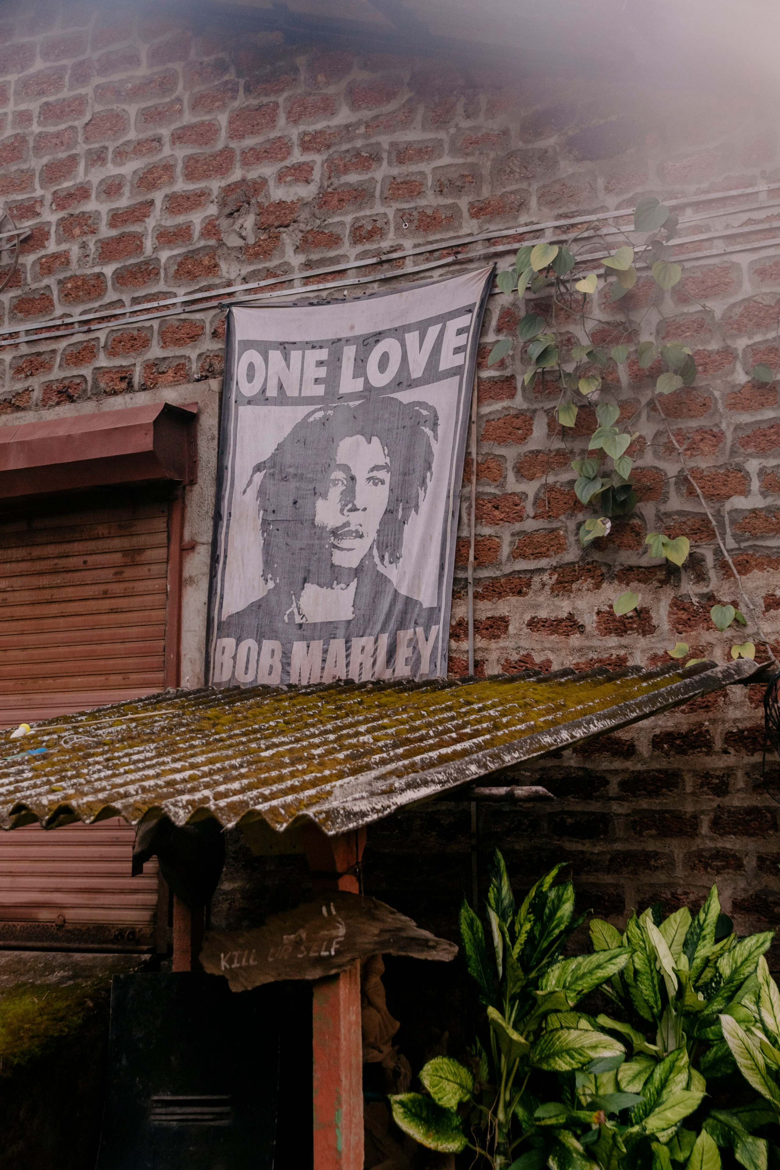 Гоа. индия. Iraogo