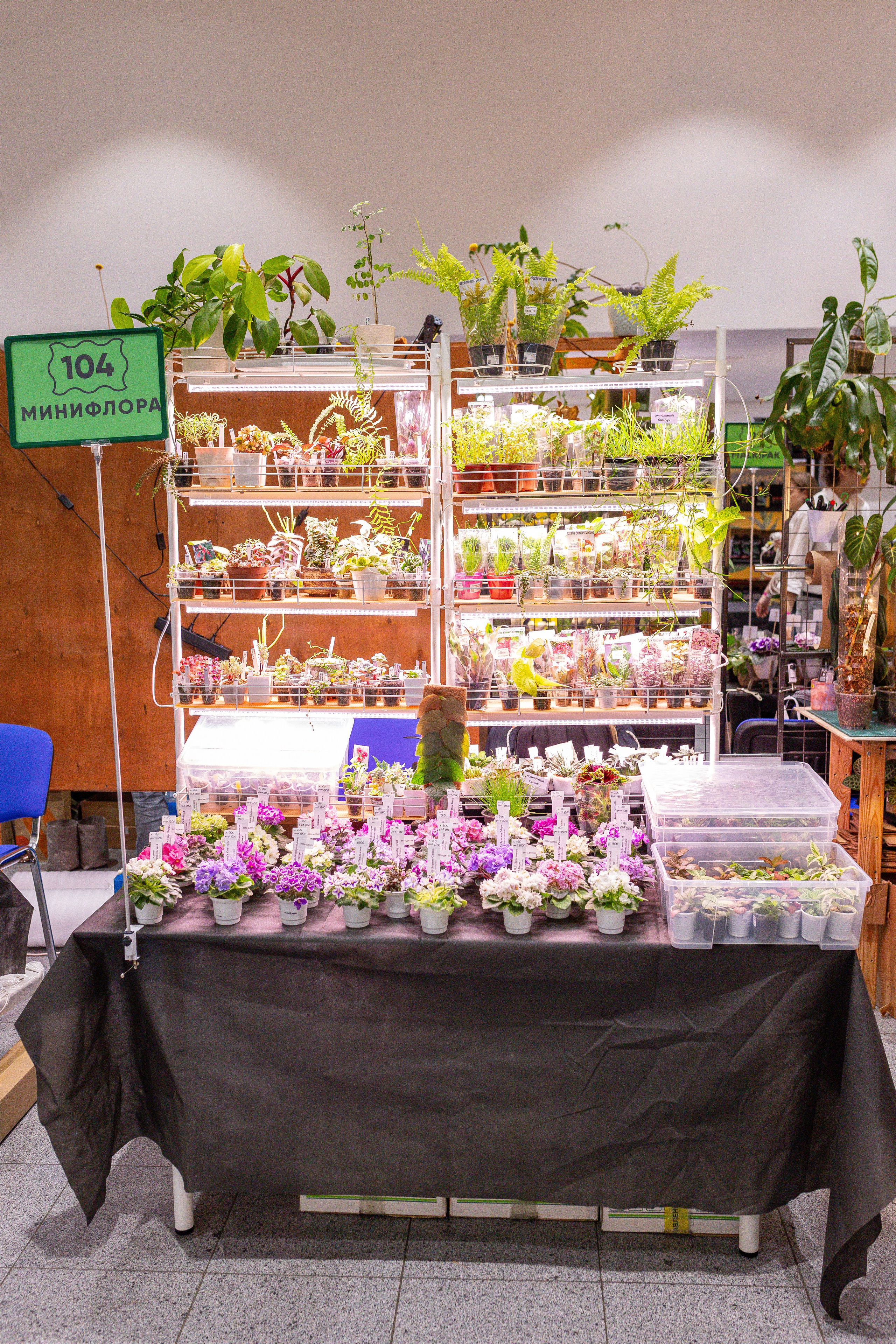 Монстериум 11–12 октября. Александра Куликова фотограф, Москва