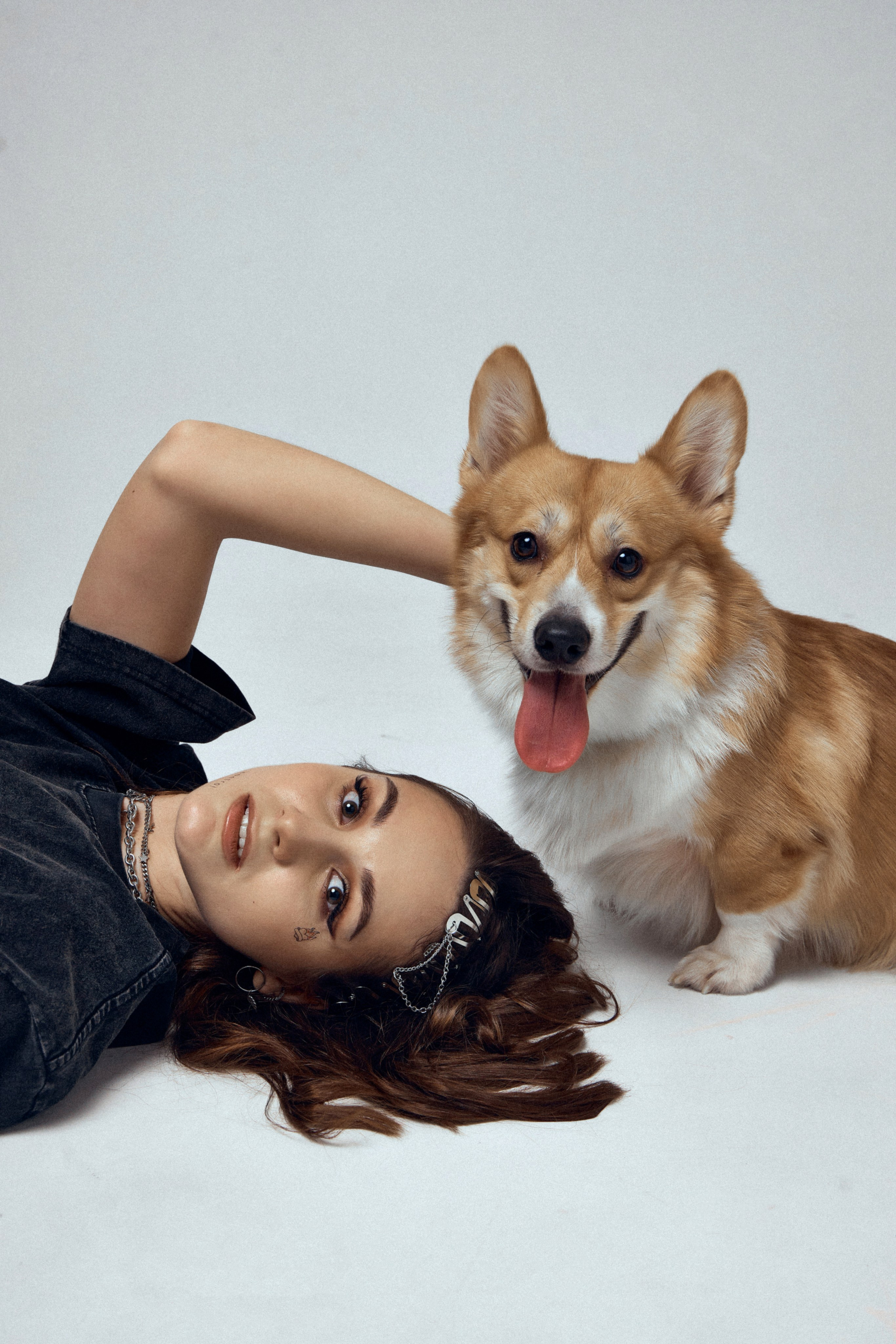 КОРГИ. Фотограф Санкт-Петербург