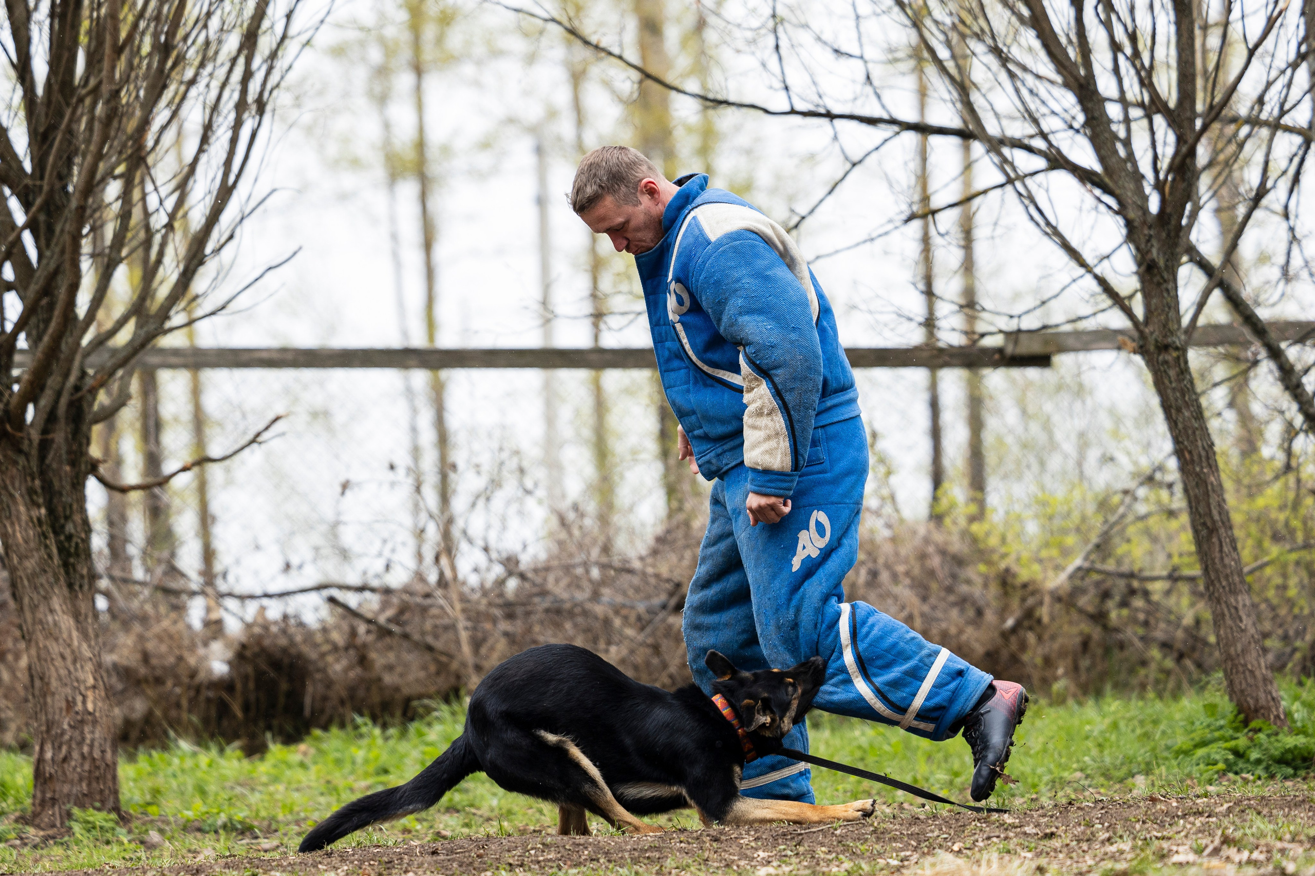 Квалификационные состязания по мондьорингу г. Вологда 11.05.24. Фотограф-анималист Анна Маринич