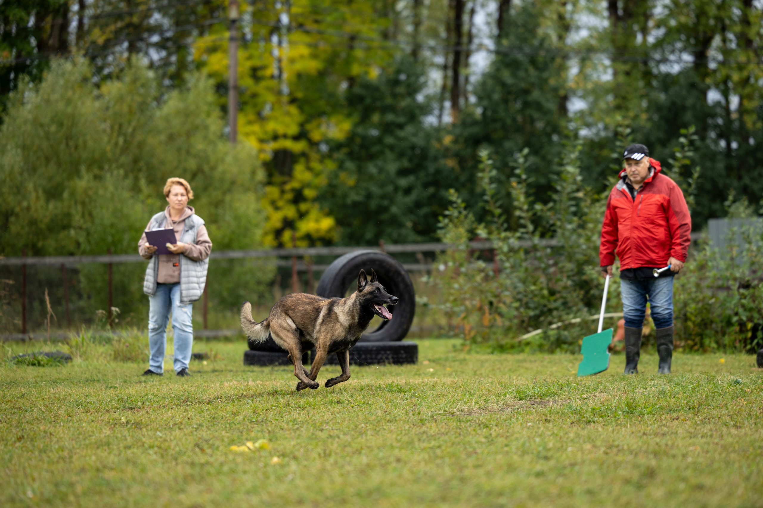 Испытания по Мондьорингу г. Пушкин. Фотограф-анималист Анна Маринич