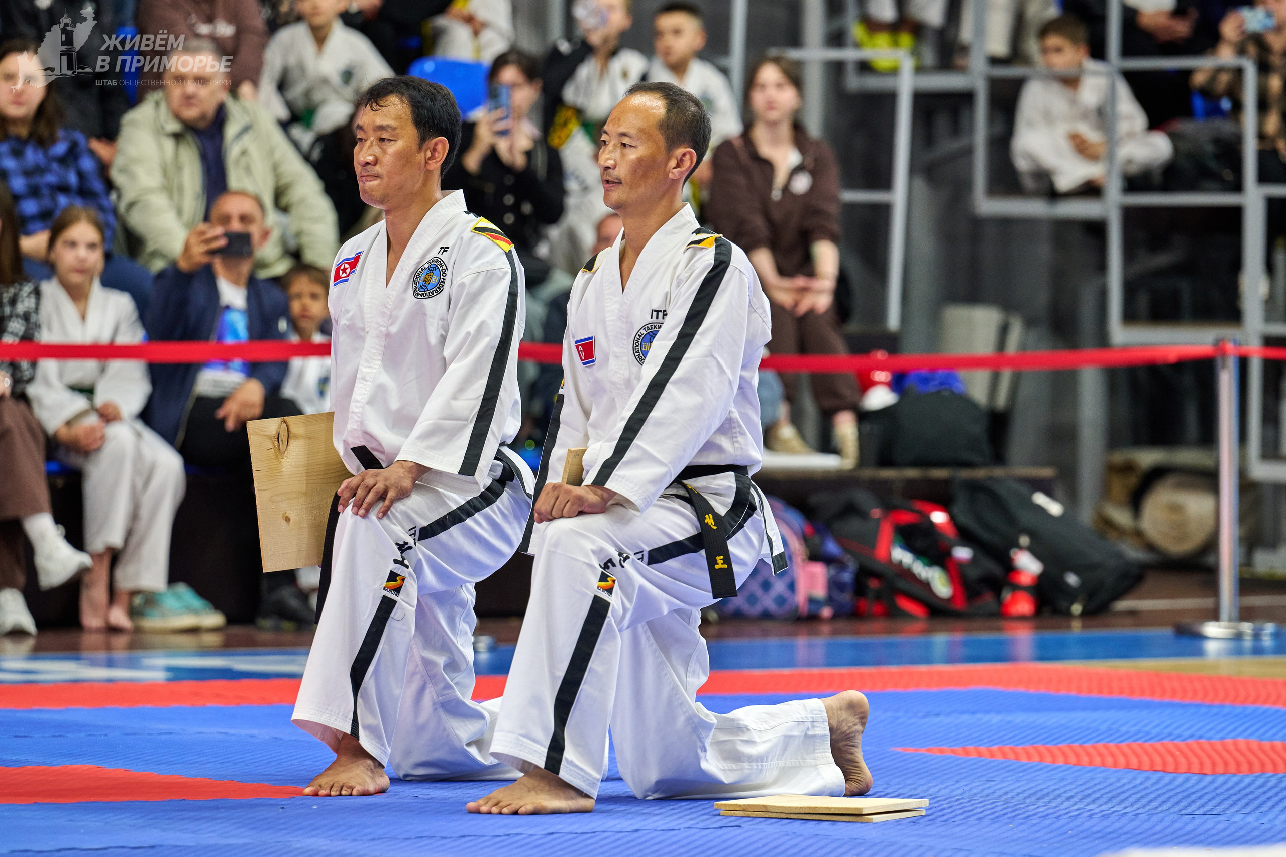 Кубок губернатора по тхэквондо. Профессиональный репортажный фотограф Инесса Иминова