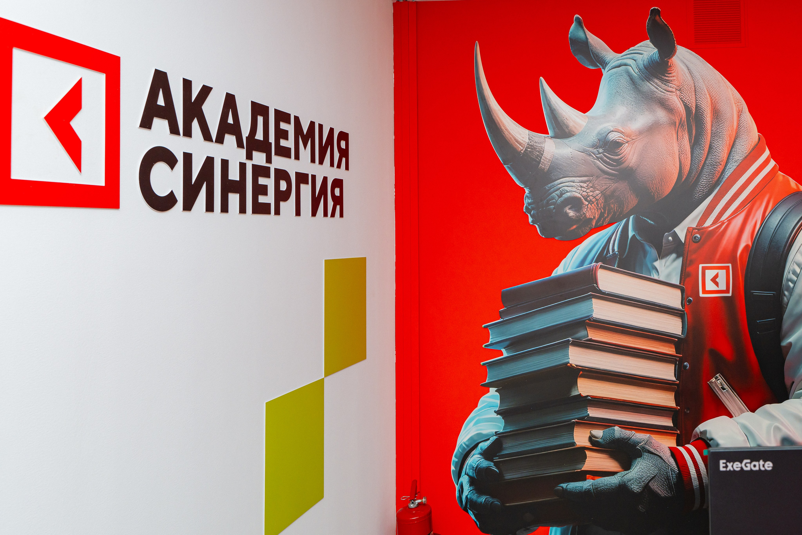 Синергия. Фотограф Мария Зайчик