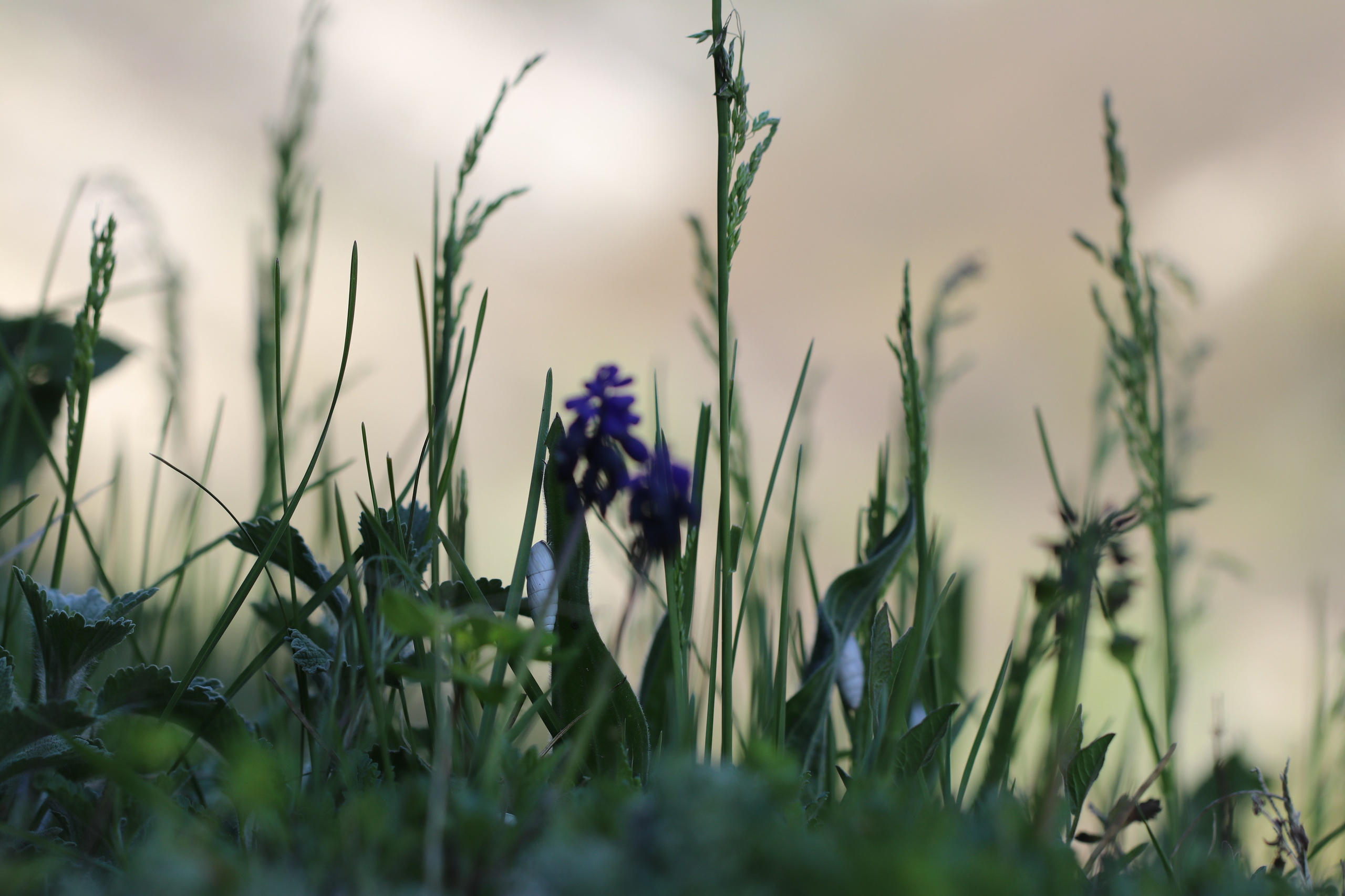 Крым. ЮБК (Бахчисарай, Кастрополь, Таракташская тропа). Май 2021. Путешественник-фотограф из Санкт-Петербурга Татьяна Свистулина