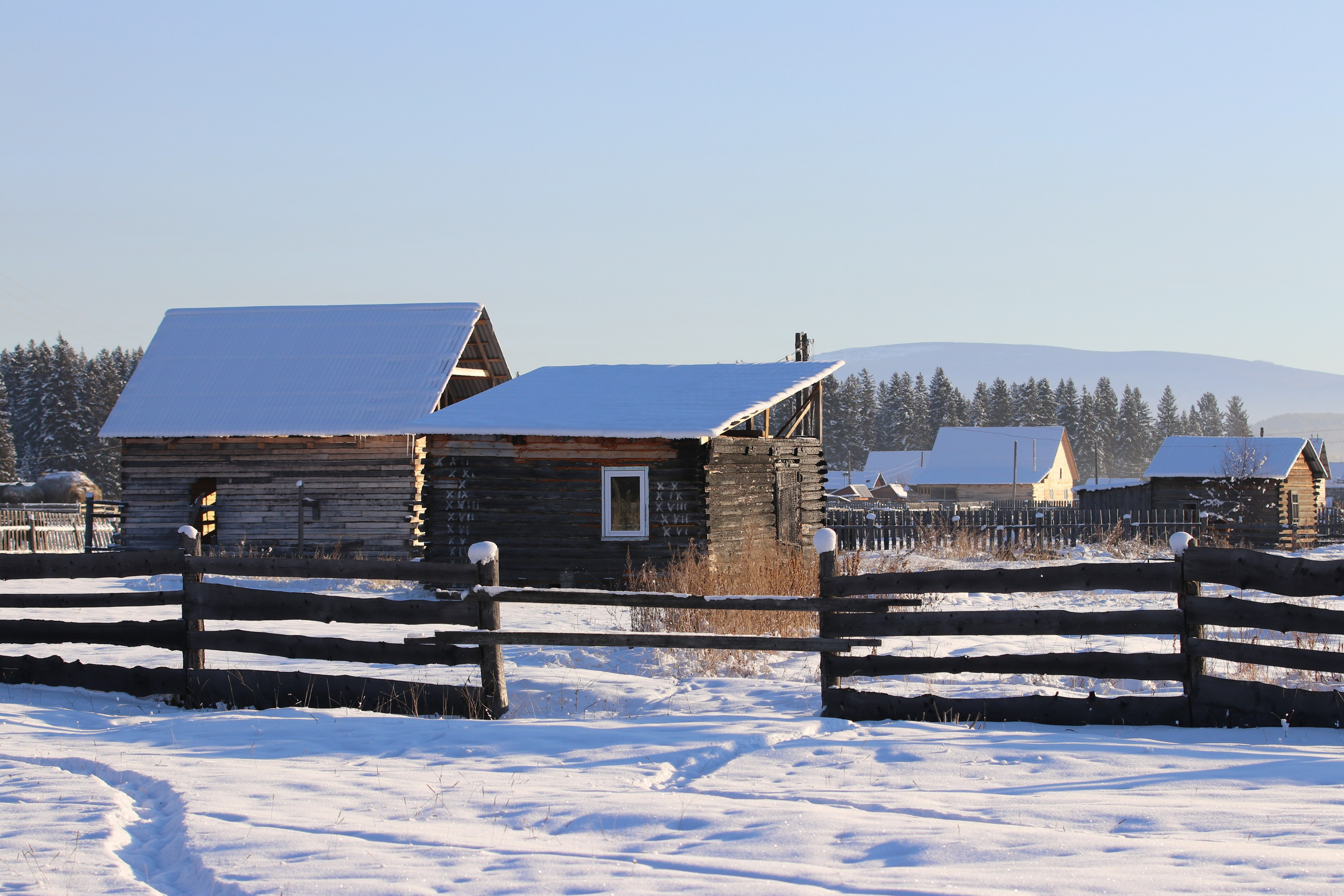 Аршан. Январь 2022. Путешественник-фотограф из Санкт-Петербурга Татьяна Свистулина