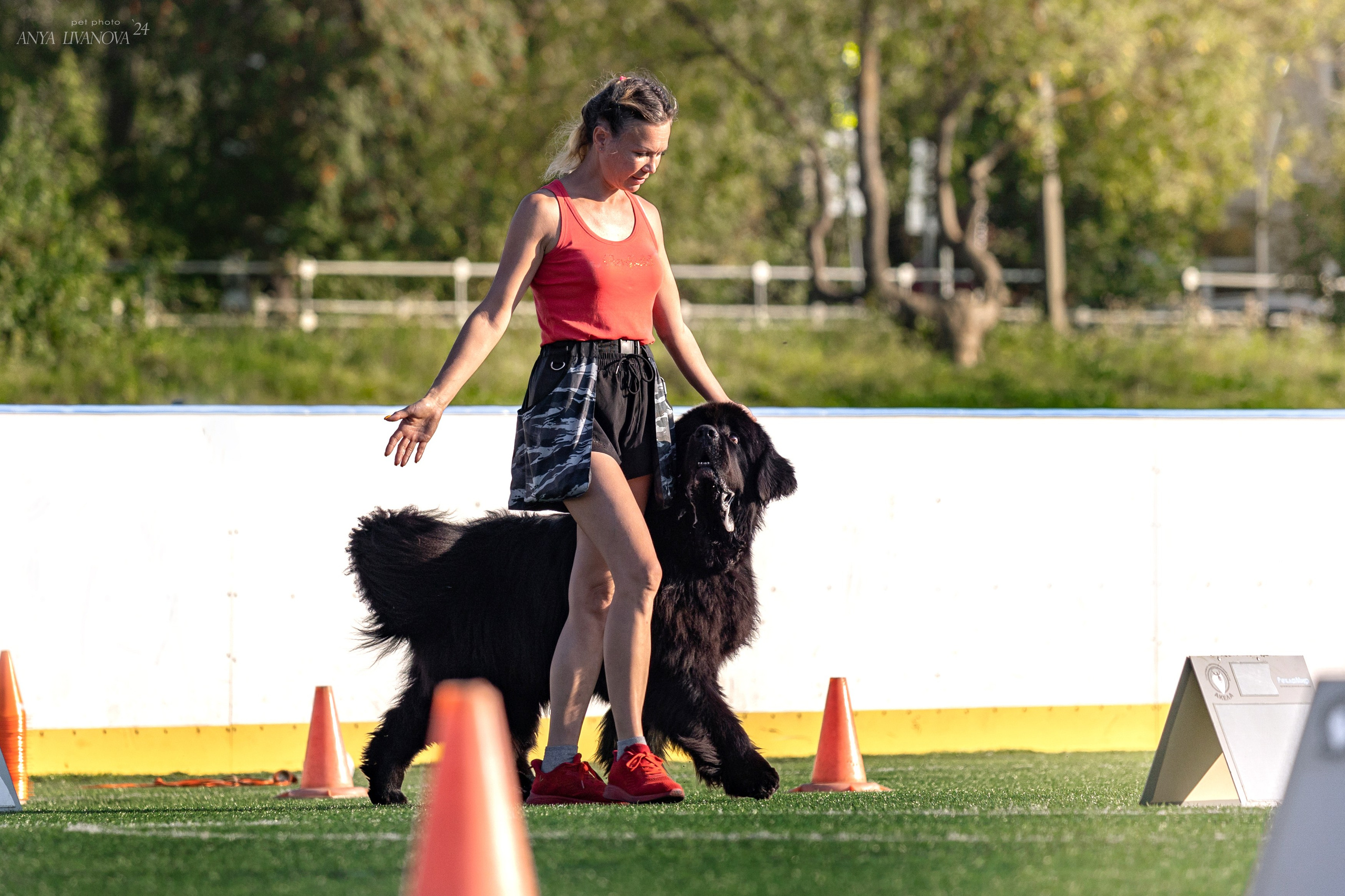 Ралли обидиенс. Фотограф анималист Аня Ливанова | Рыбинск