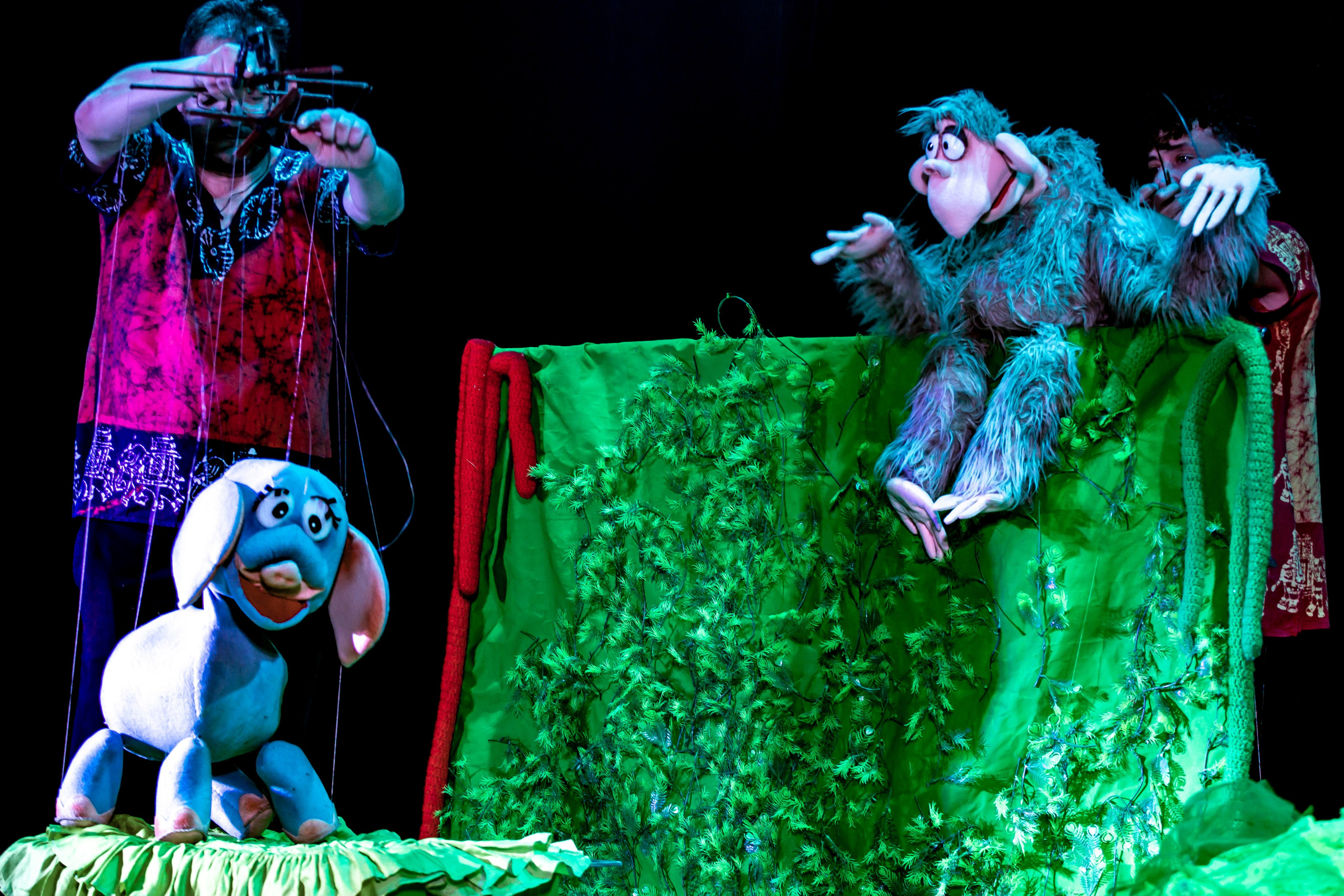 Любопытный слоненок спектакль театра Саквояж. Фотограф в Сочи Юрий Шептаев