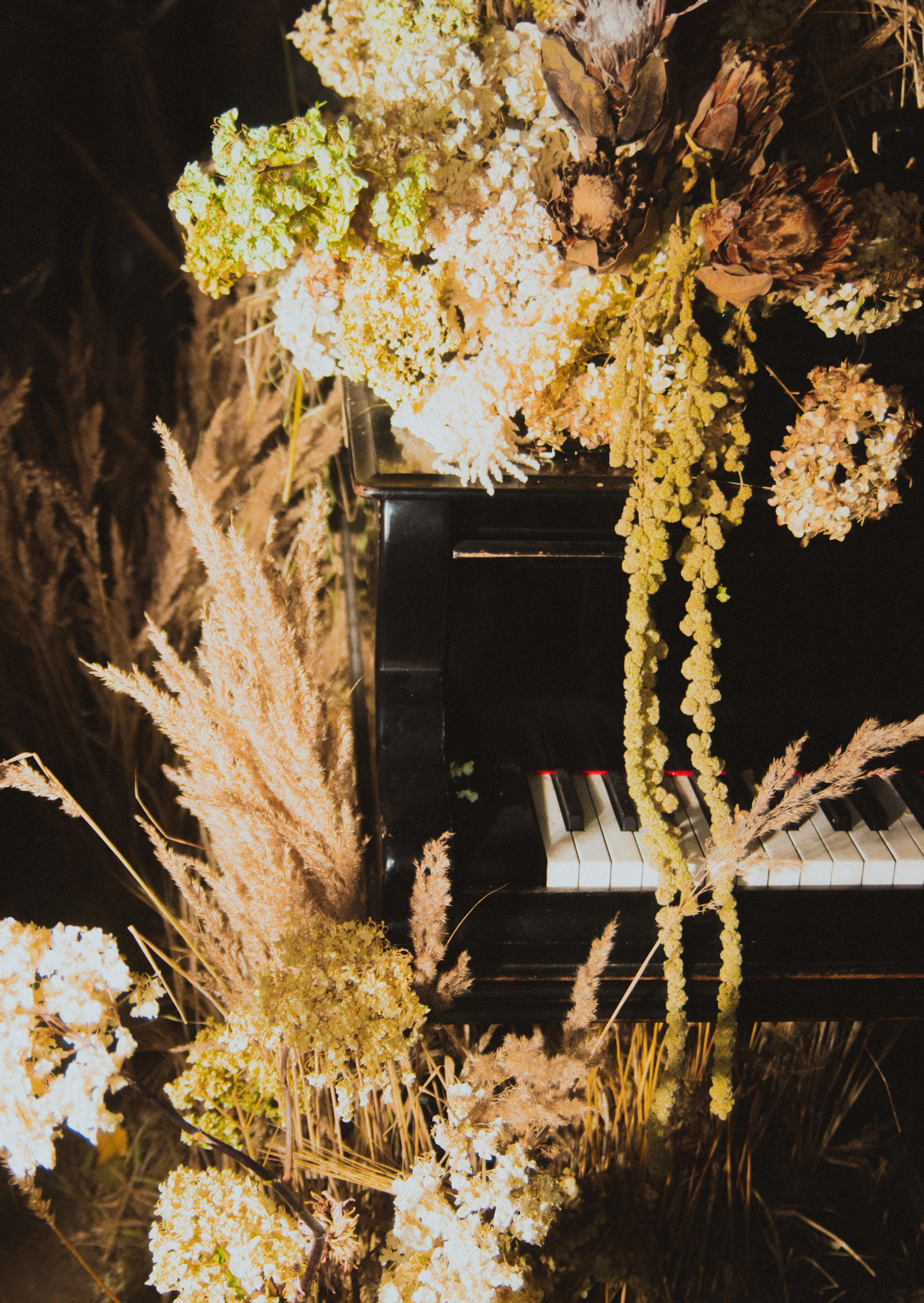 Диана. Анна Мильч