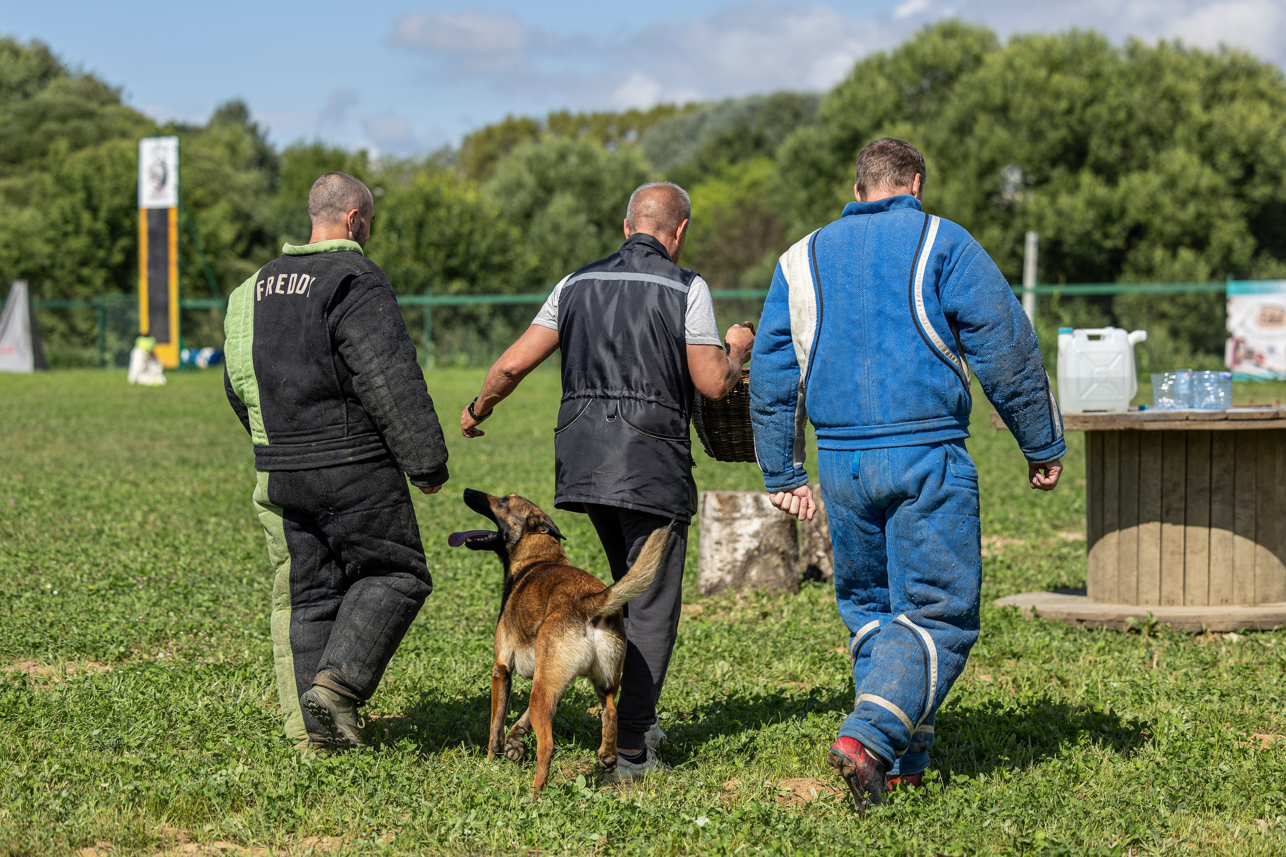 Соревнования по Мондьорингу г. Вологда 10-11.08.2024. Фотограф-анималист Анна Маринич