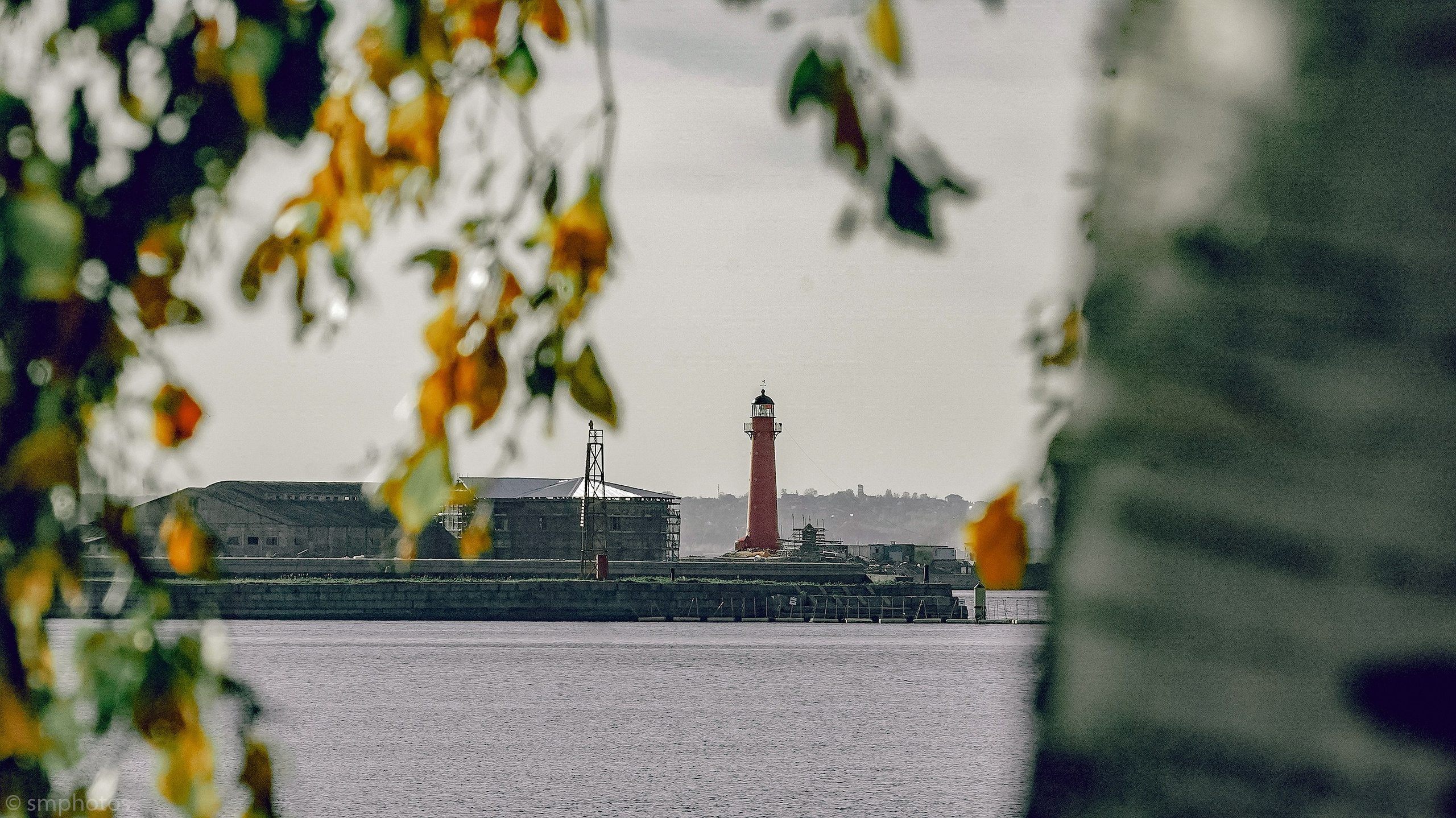 Уличная и репортажная фотография. Репортажный фотограф в Москве Светлана Мулыкина