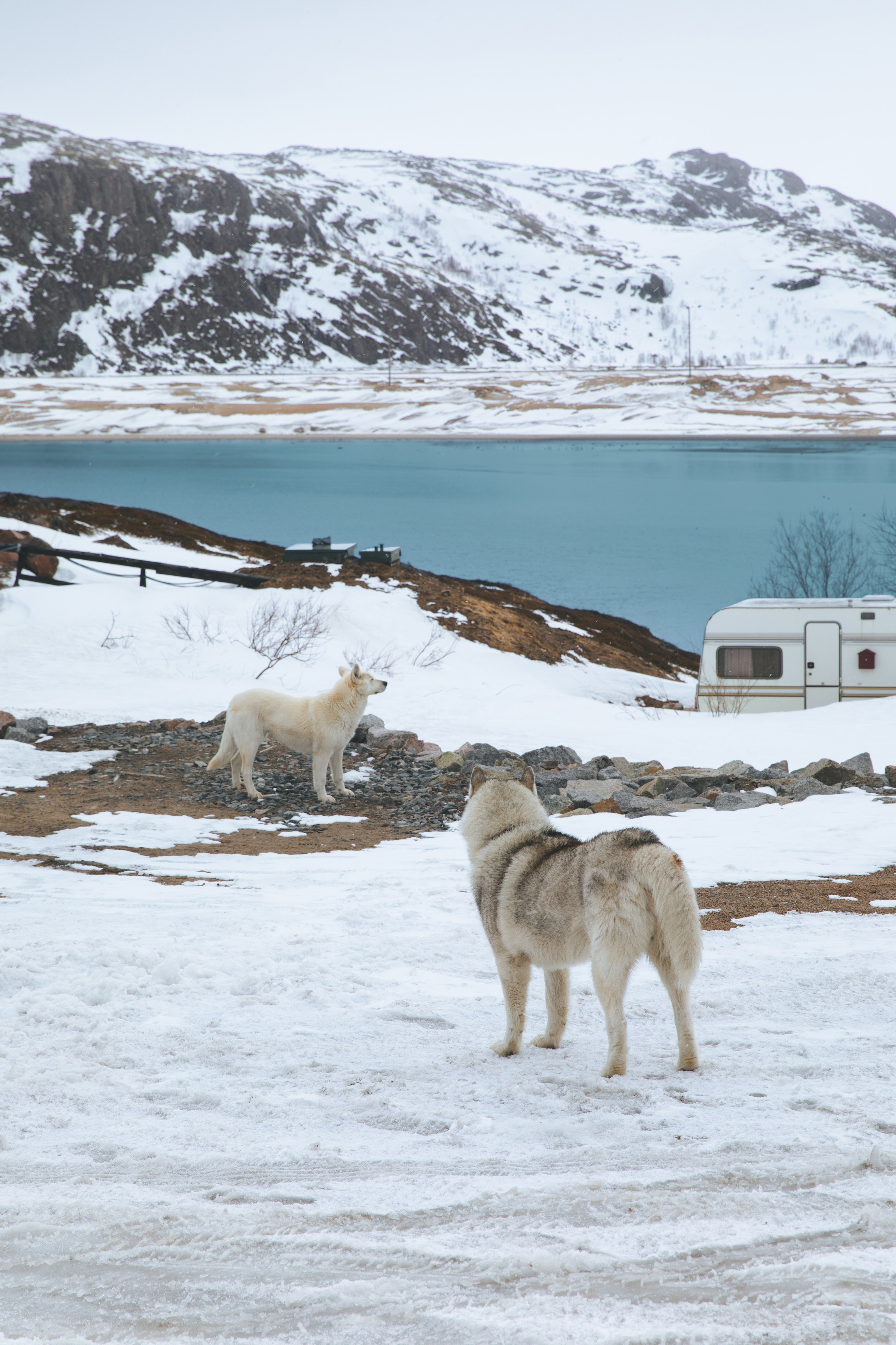 Городской пейзаж. Фотограф Иван Белов