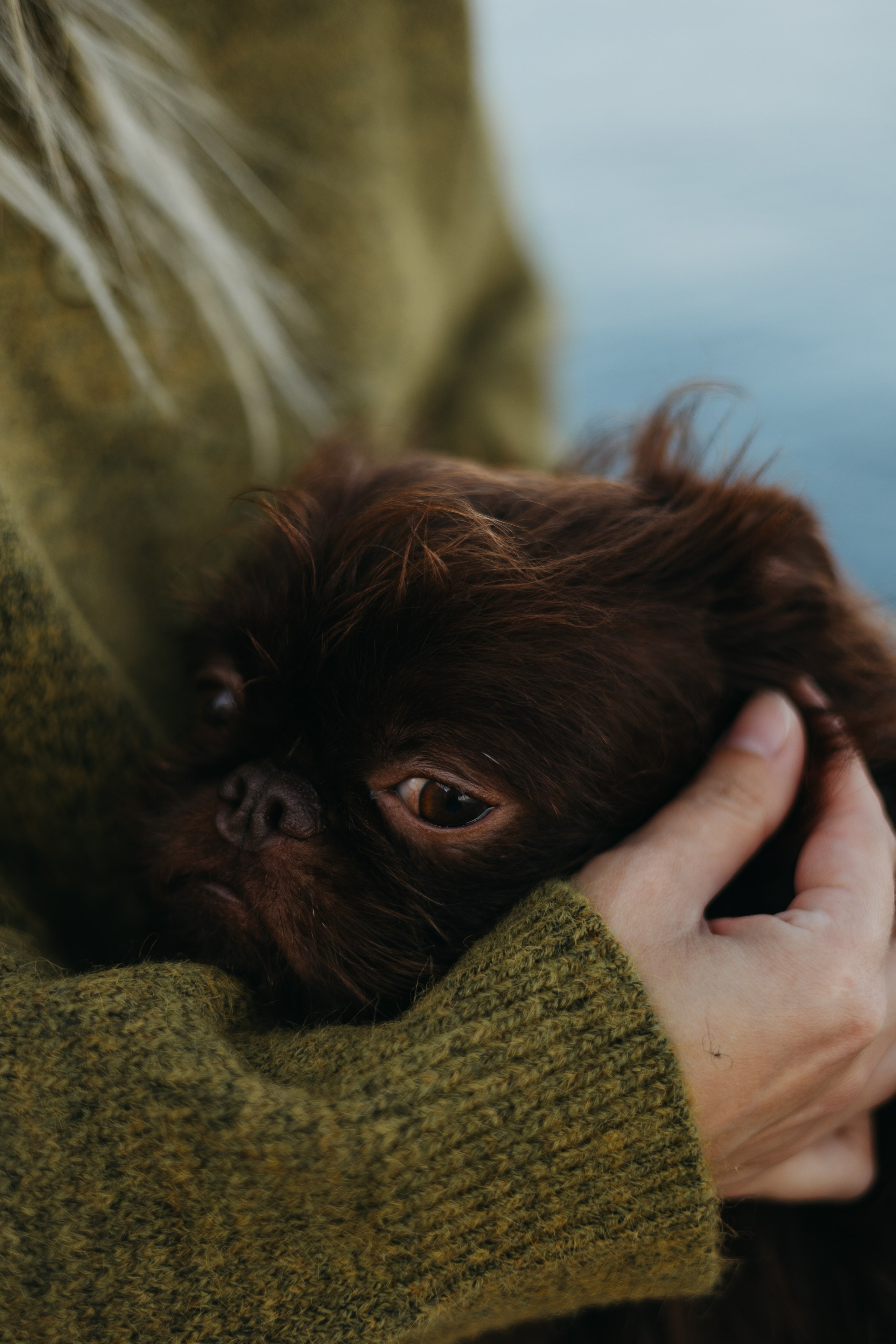 Наталья и Оззи. Фотограф животных Евгения Верцинская