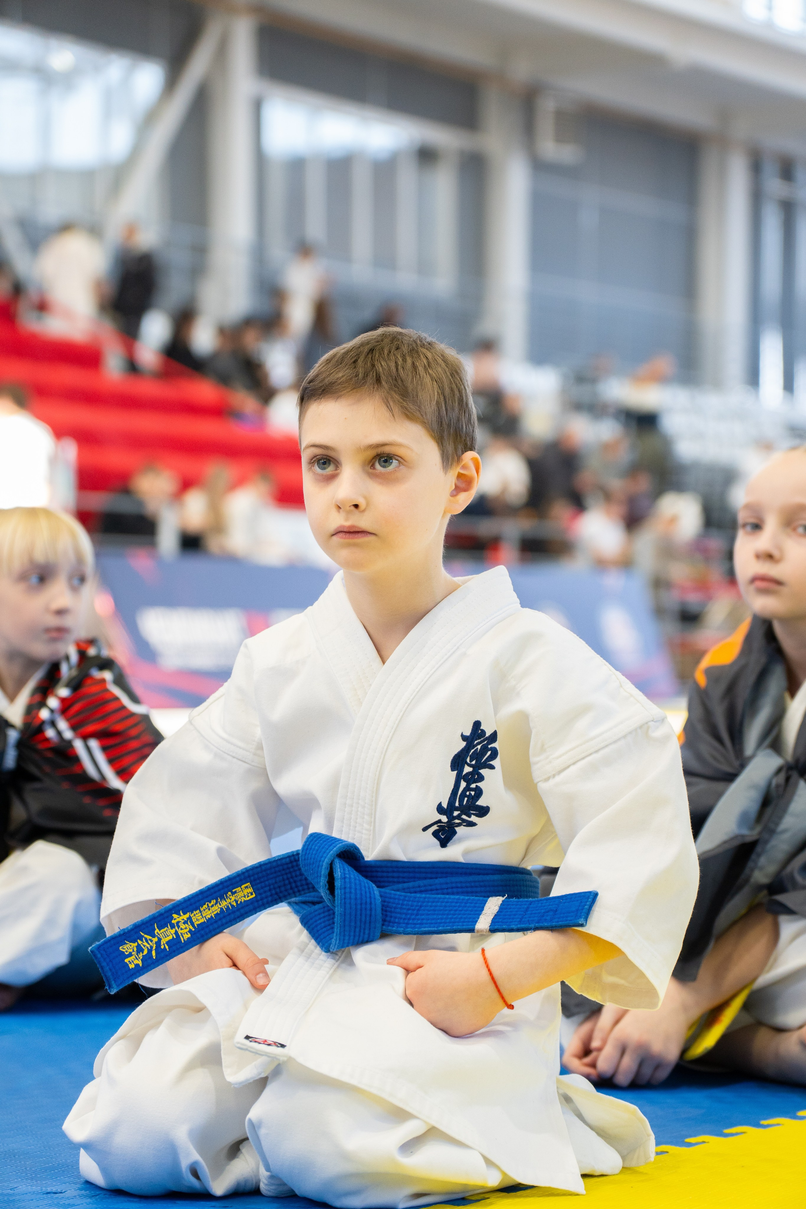 Репортажный фотограф Дмитрий Дергачёв запечатлел спортсмена с зелёным поясом на турнире по тхэквондо в Хабаровске