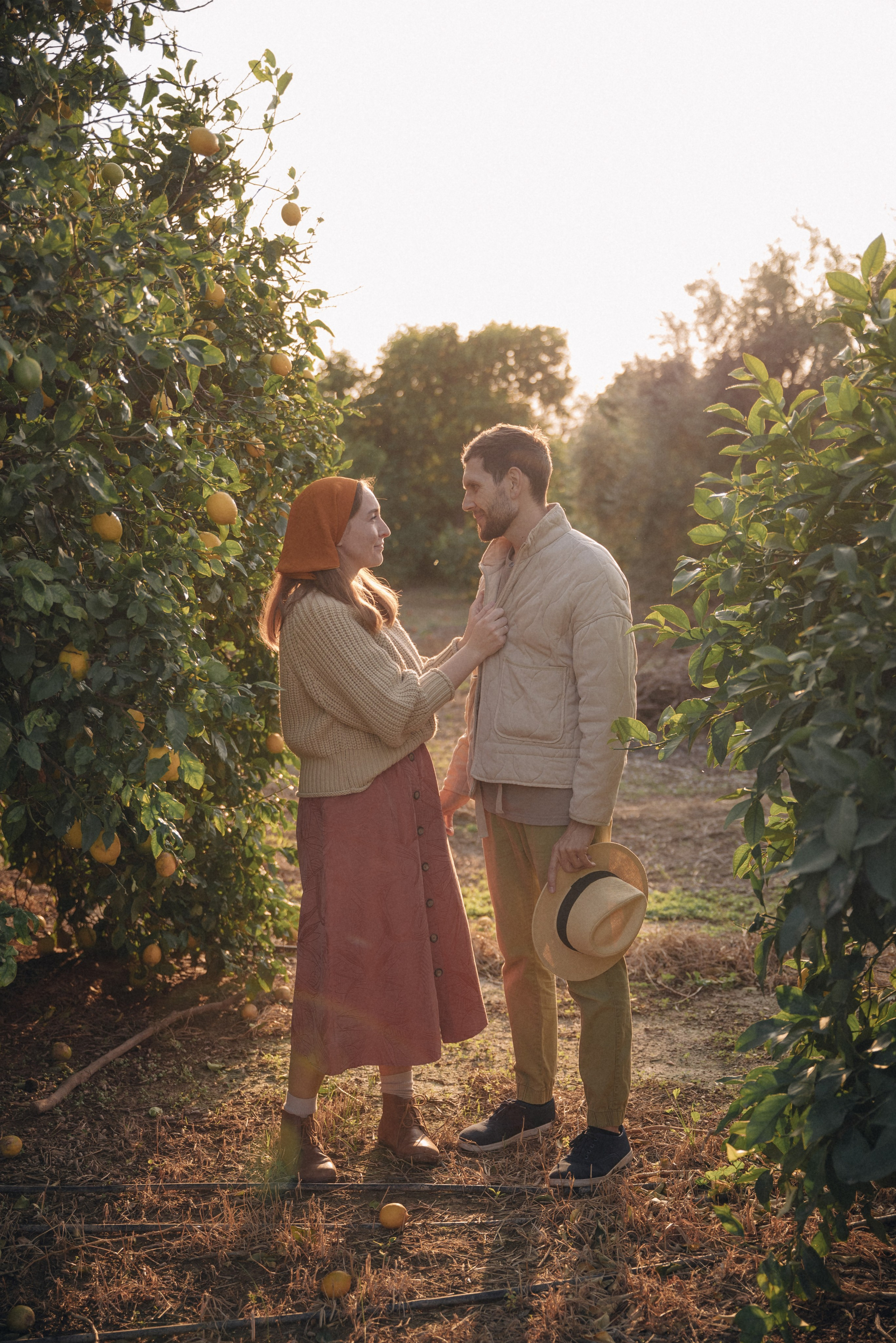 Сбор урожая. Анна Лобанова | фотограф