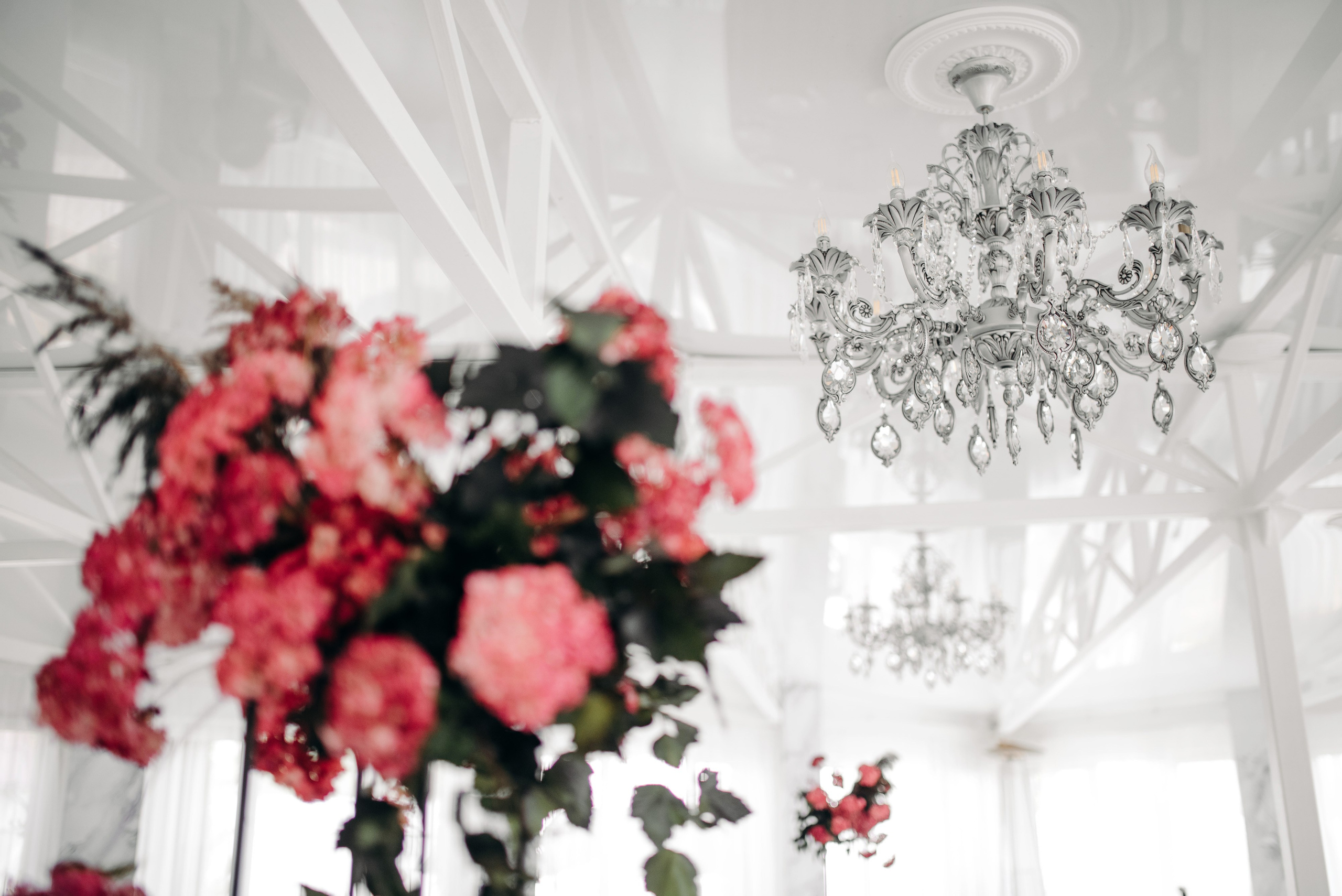 Николай и Анита. Фотограф Тривашкевич Александр