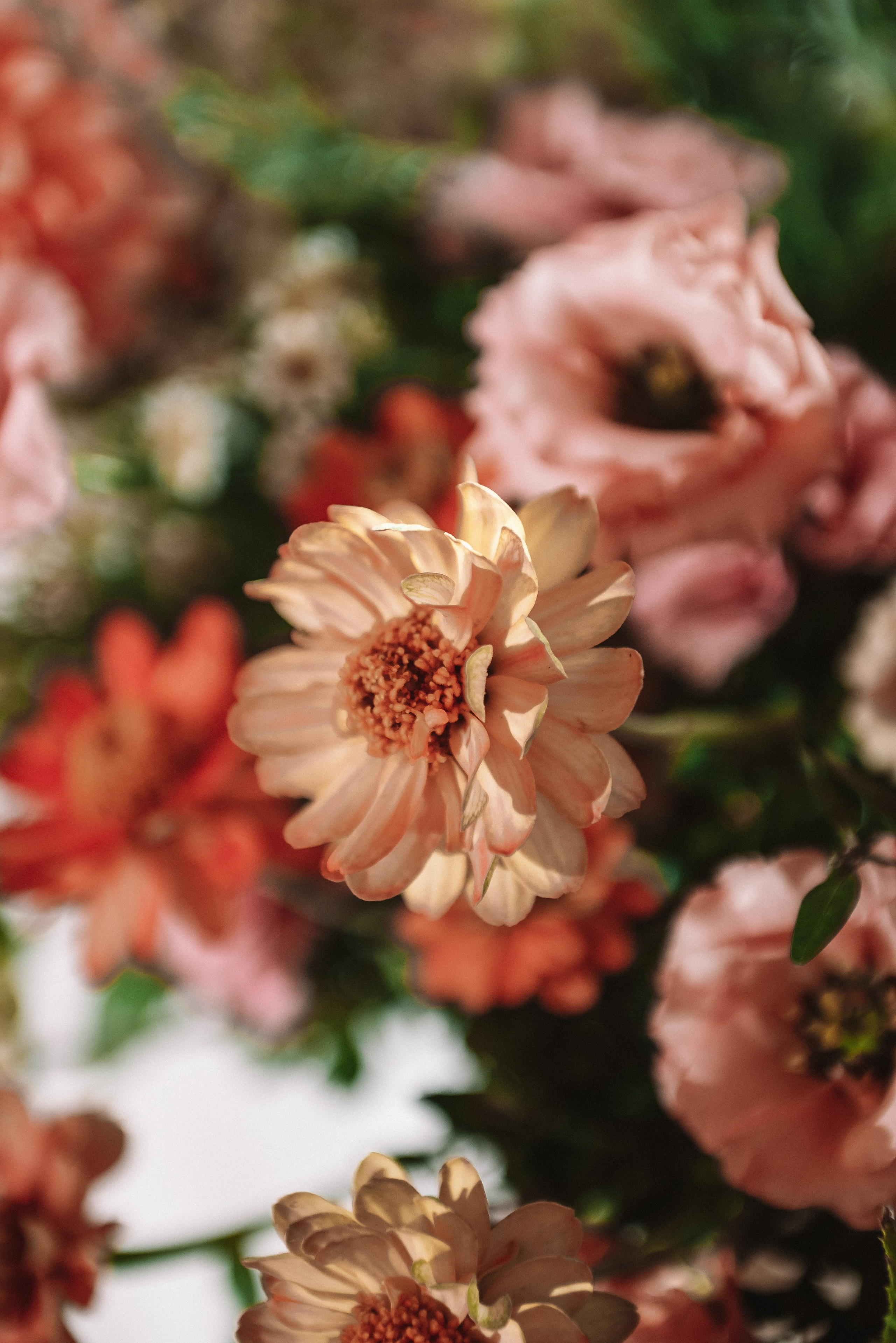 Кристина + Дмитрий. Свадебный и семейный фотограф в Волгограде Олеся Лисицкая