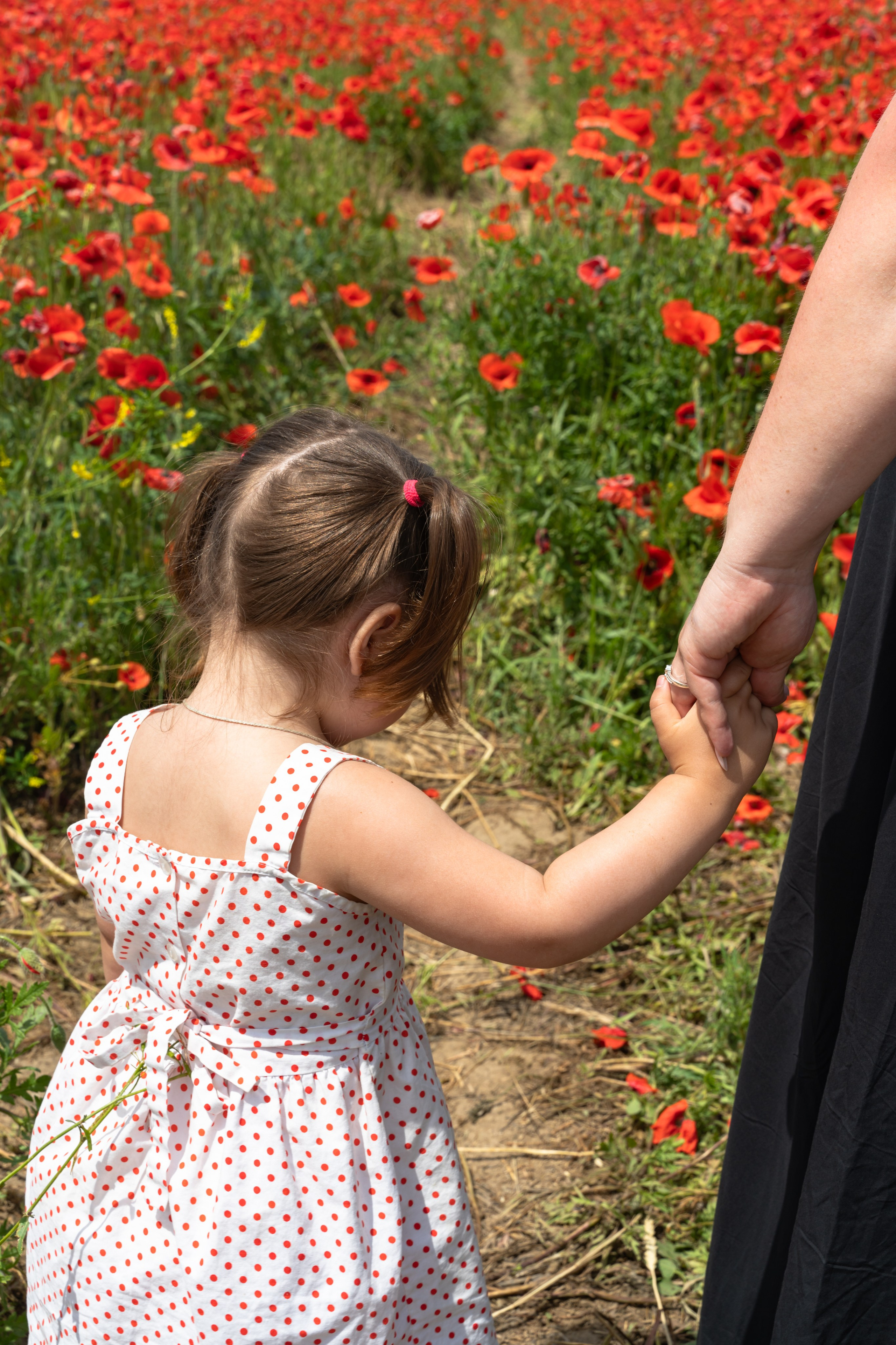 Семейные. Фотограф в Анапе Динара Шеви