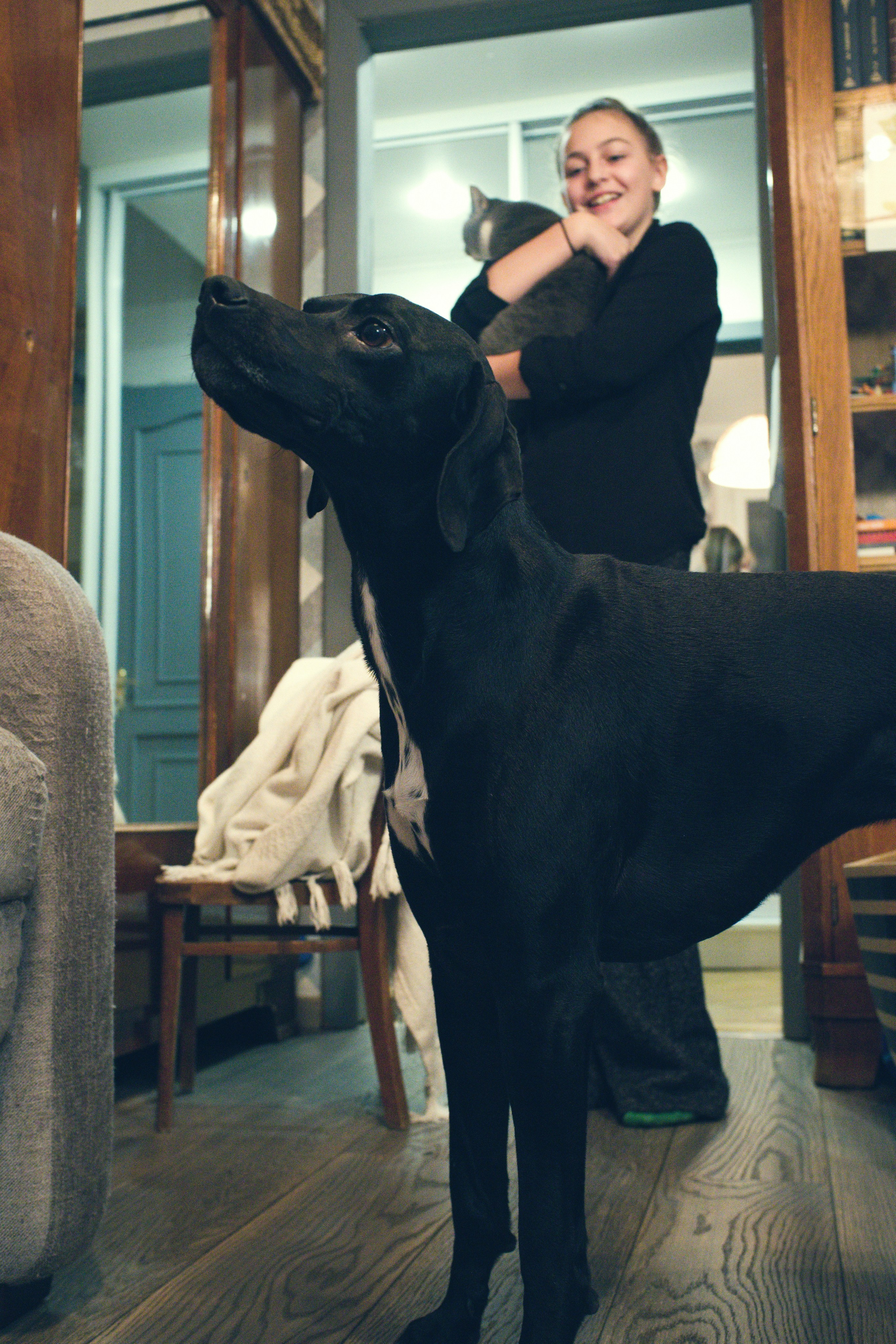 Чина и её люди. Дмитрий Бречалов