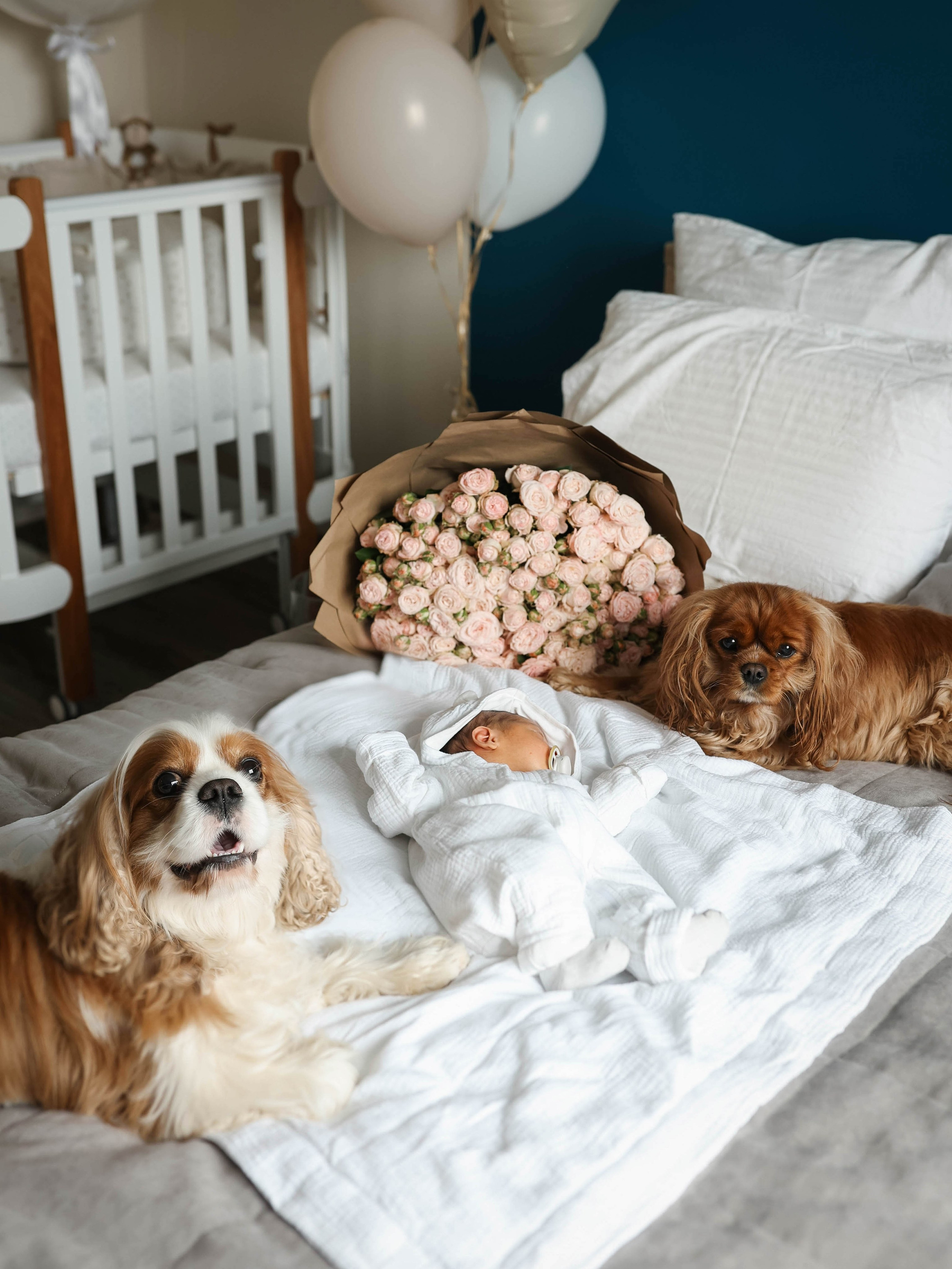 Anastasia, Andrey, Mira. Ekaterina Buneeva Photography