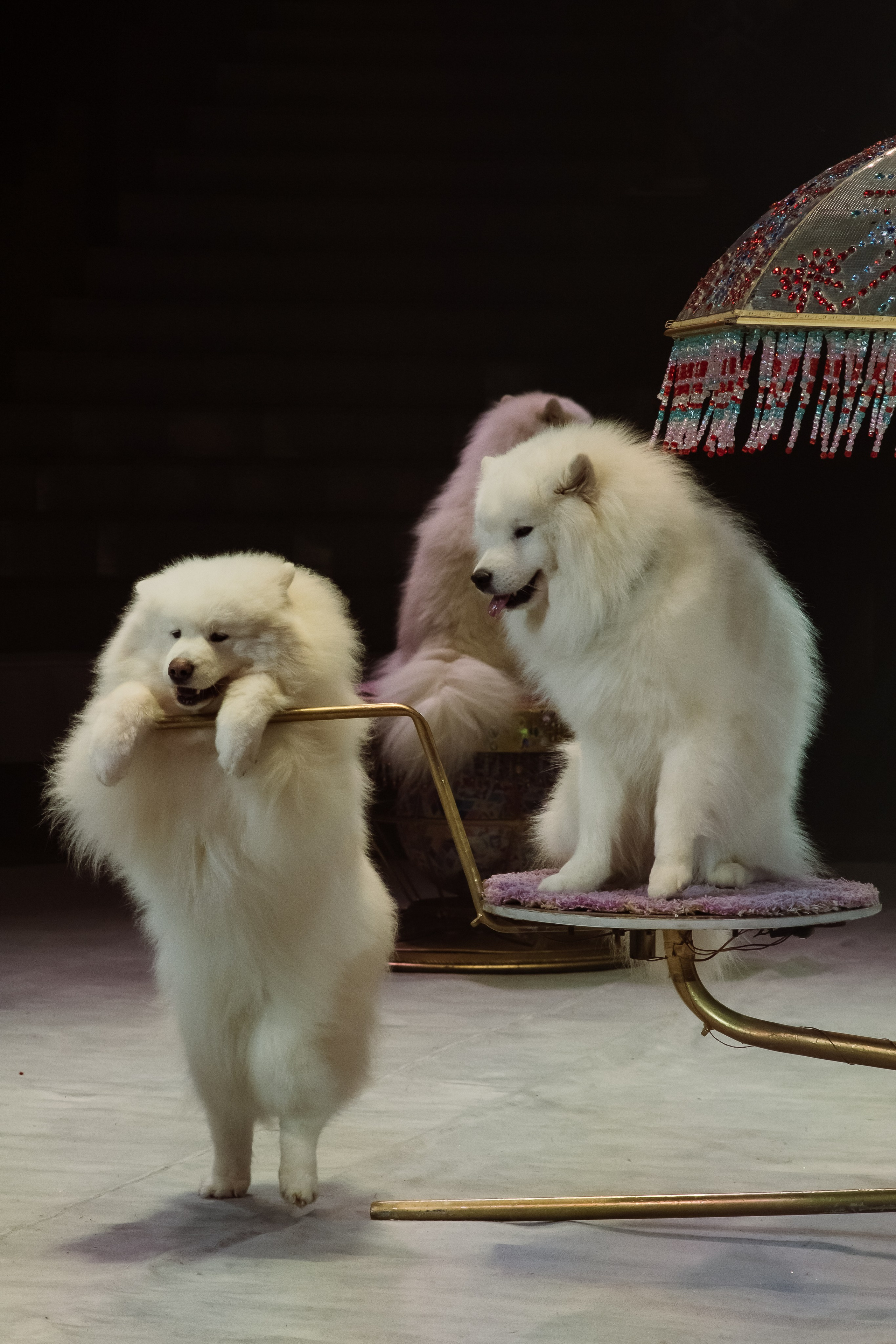 Репортаж. Фотограф Новосибирск Анна Рождественская