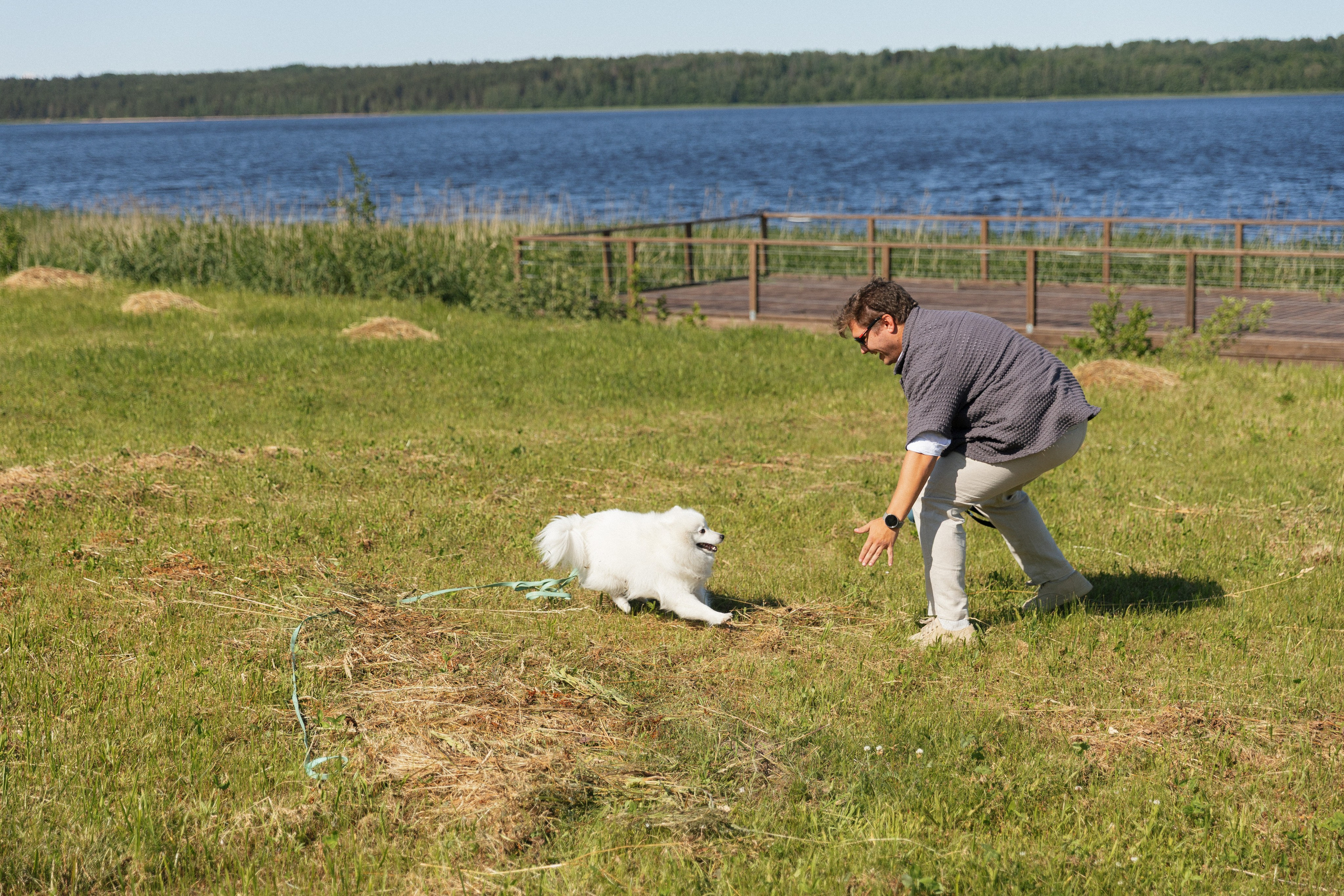 Евгений и Дарья. Свадебный и репортажный фотограф в Санкт-Петербурге Николай Голованов