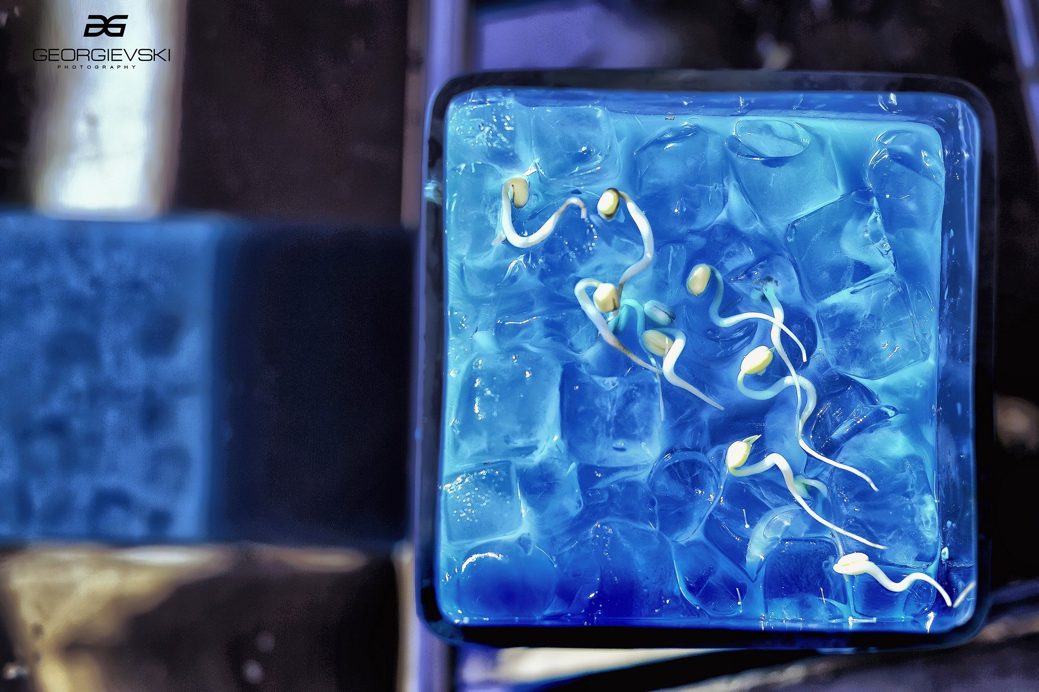 FINE ART. Denisgeorgievski