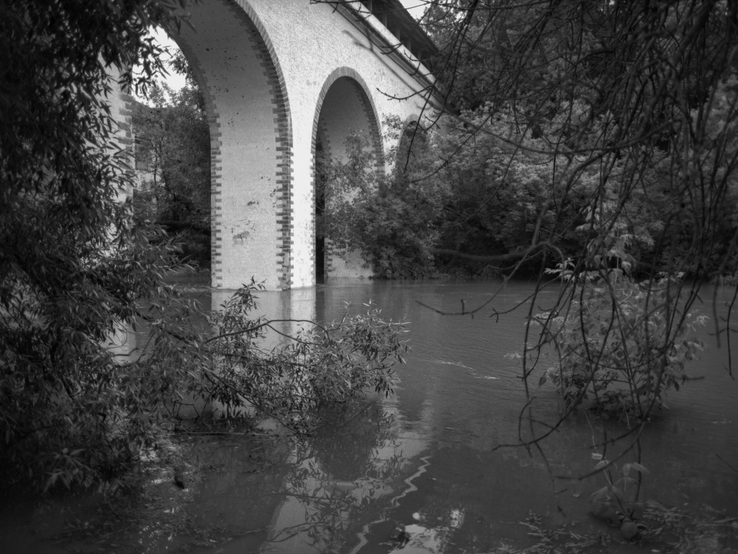 Prints. Maria Abdullaeva