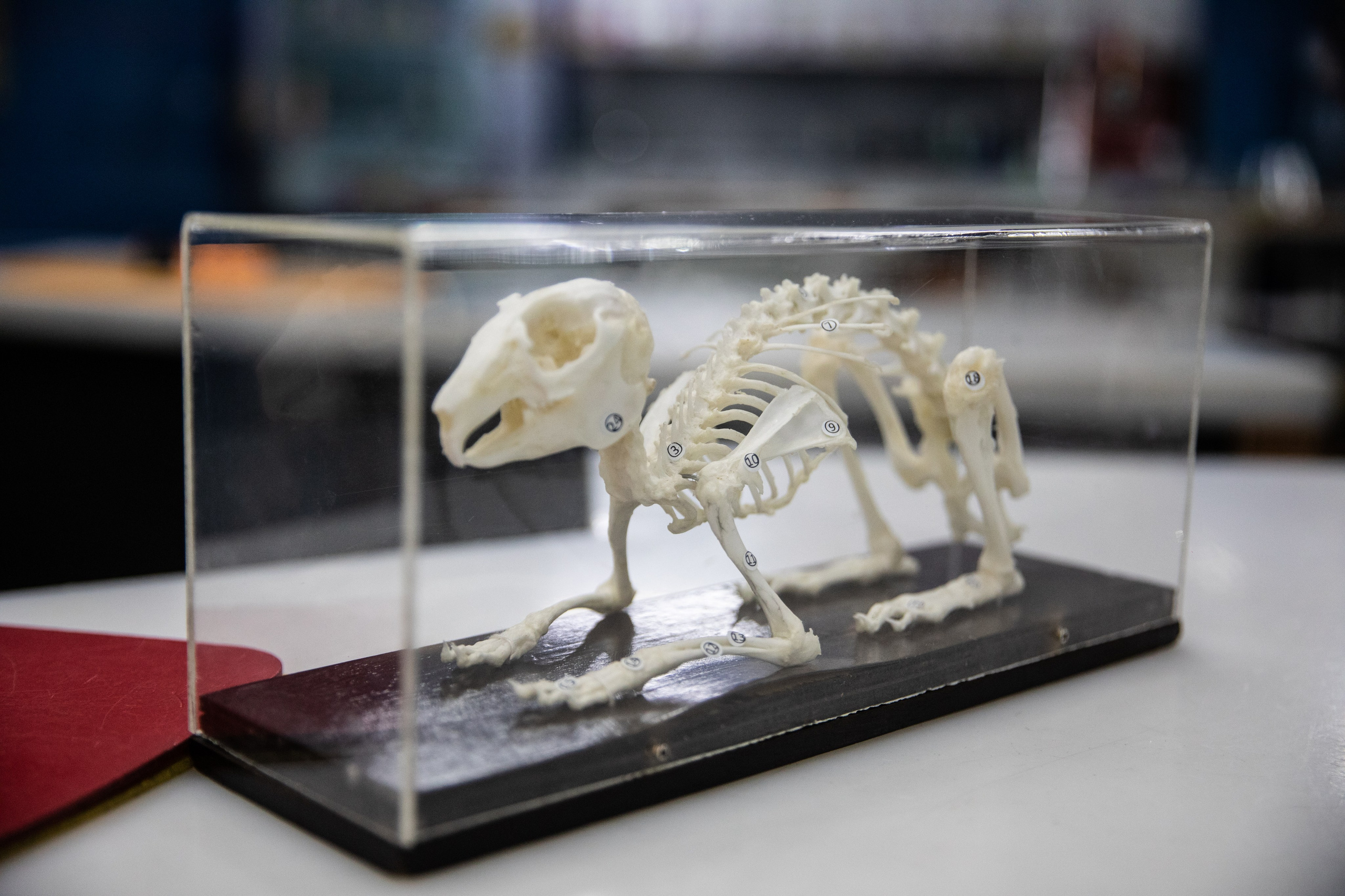 Экспрементус -Новые люди 2026. Репортажный и свадебный фотограф в Челябинске Елисеев Павел