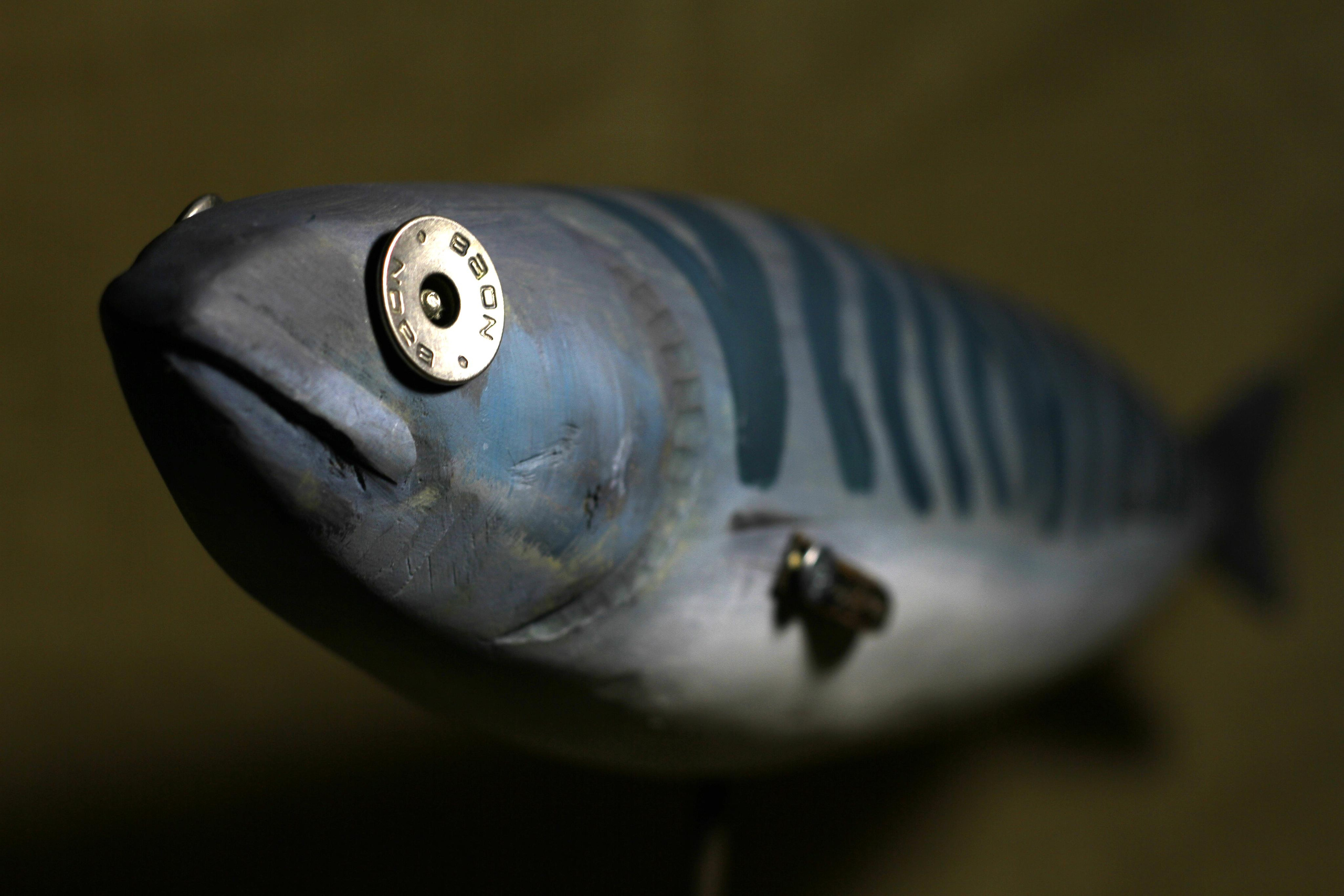 Серия "Рыбы" (в работе). Уральский художник-график Виктор Корьякин