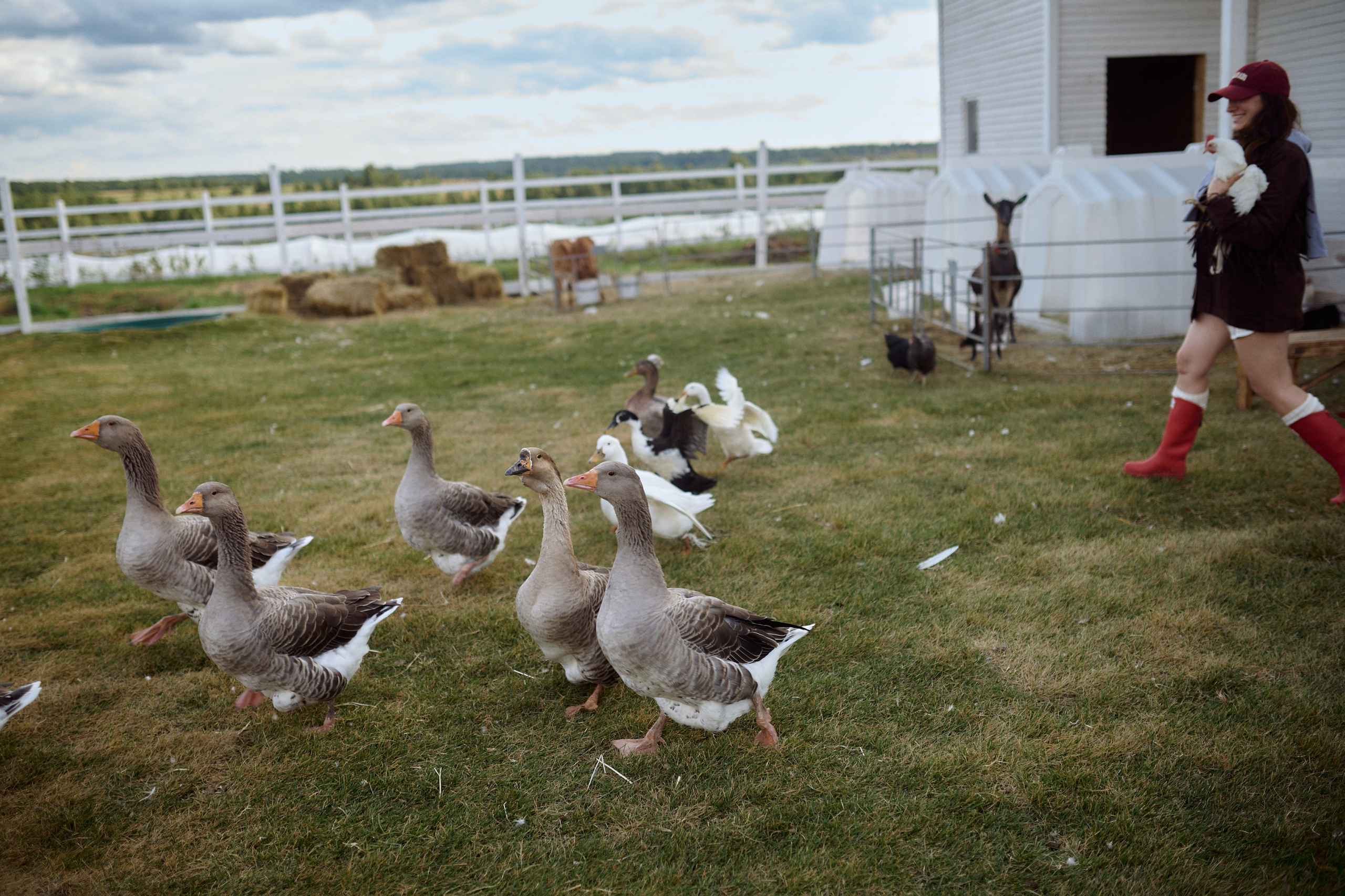 Кристина и Ариша на ферме. Семейный и свадебный lifestyle-фотограф в Москве Мария Петрова