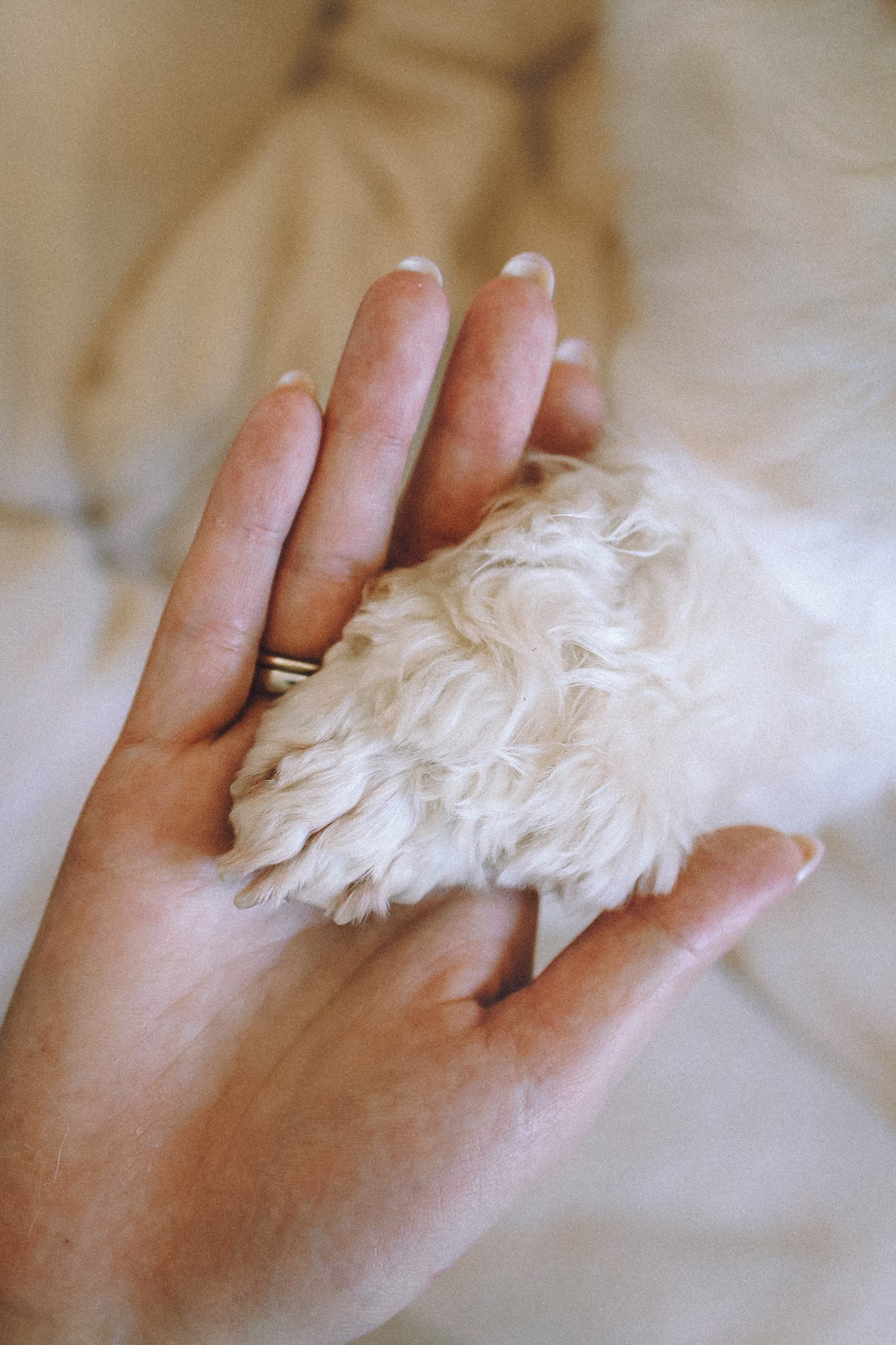 День Рождения Шу