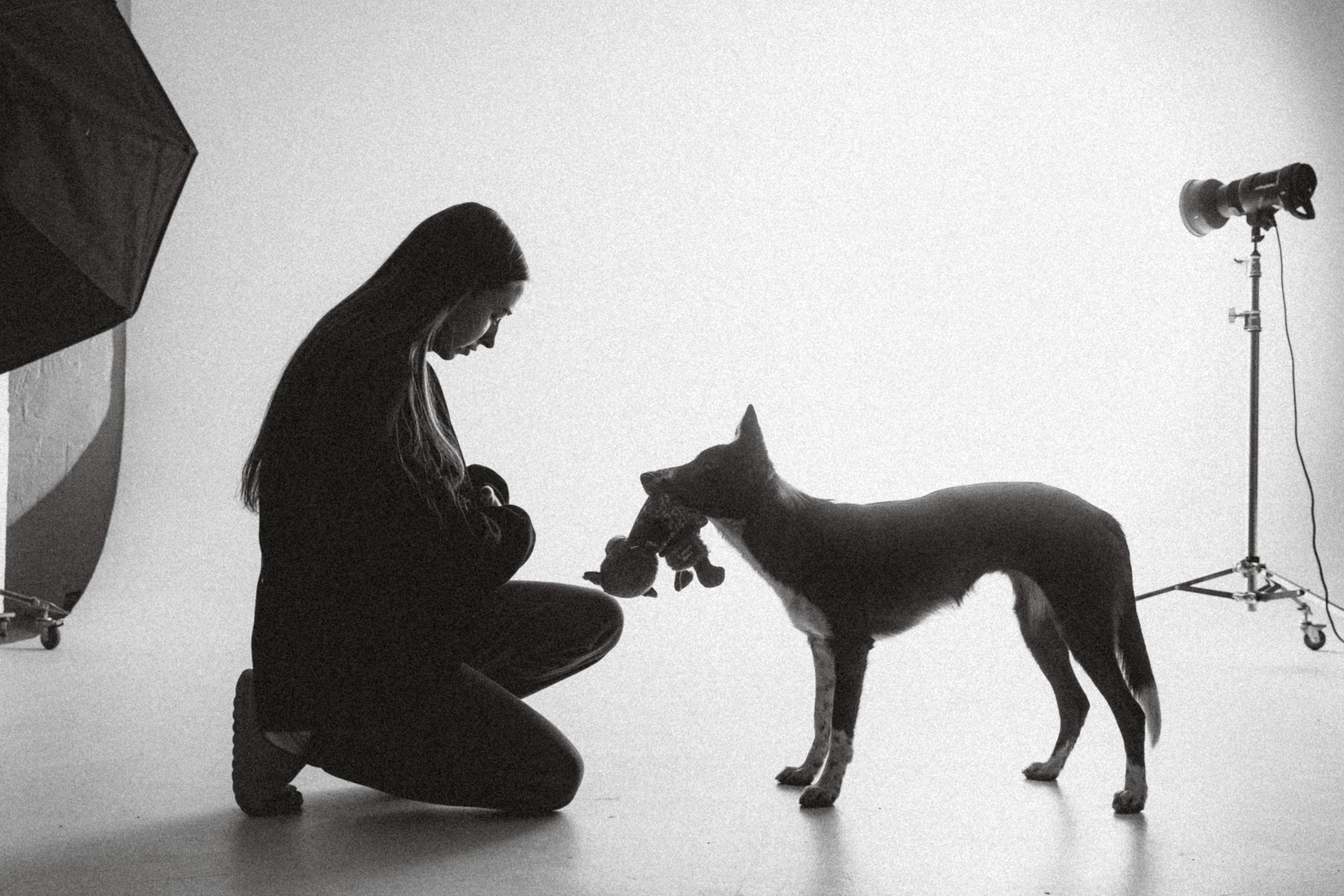 Воркшоп по импульсному свету