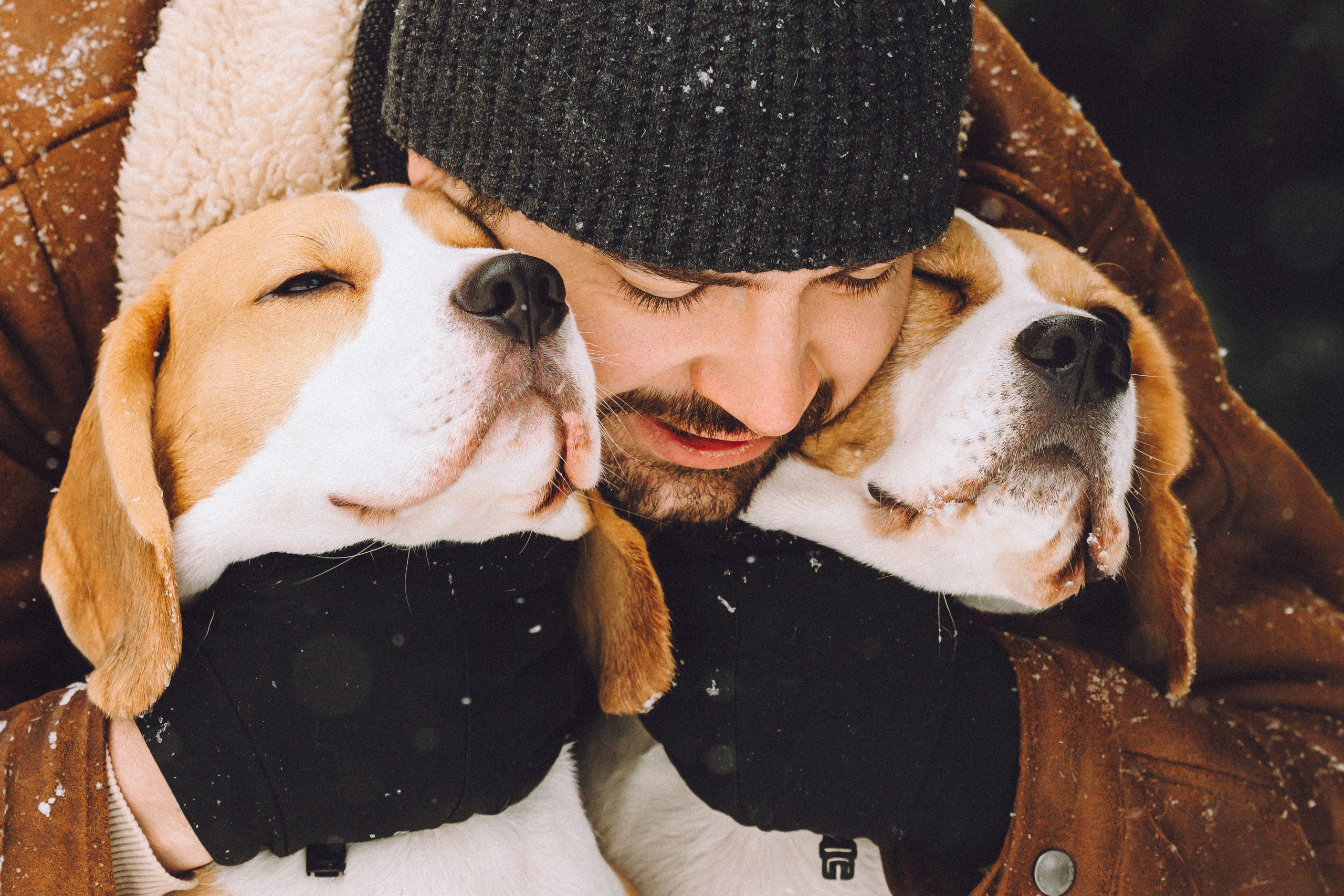 Роман, Портер и Коррес