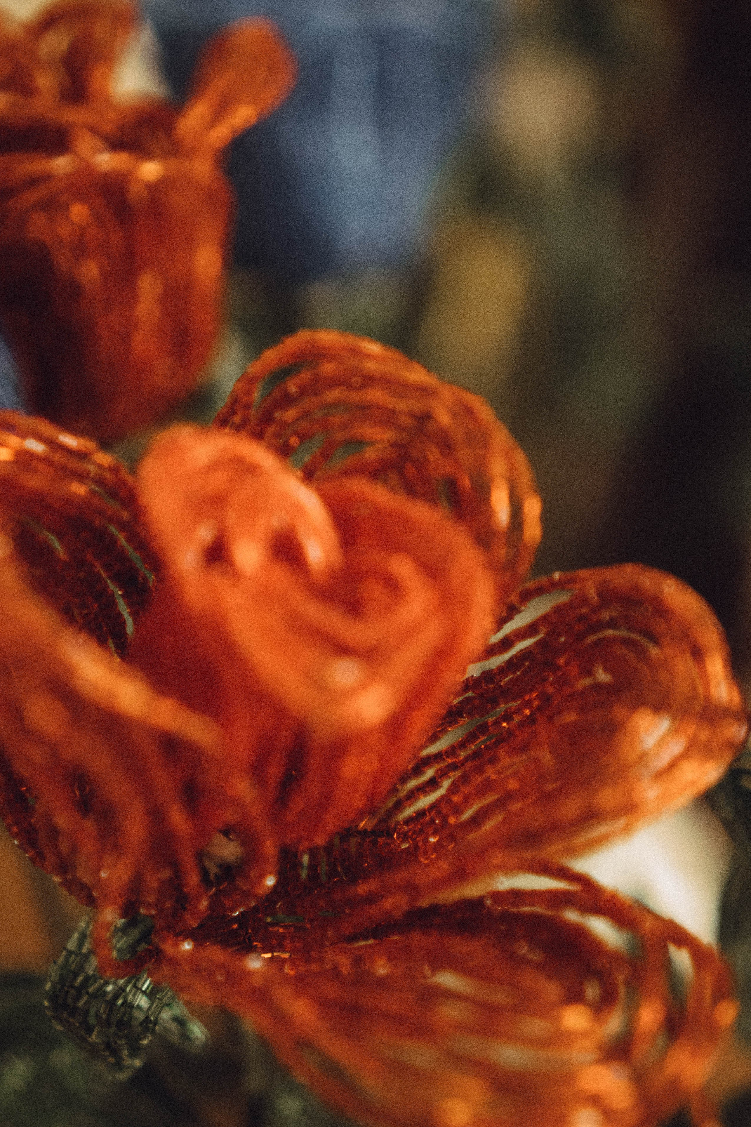 Кавказ. Профессиональный фотограф, Санкт-Петербург — Виктория Богомолова