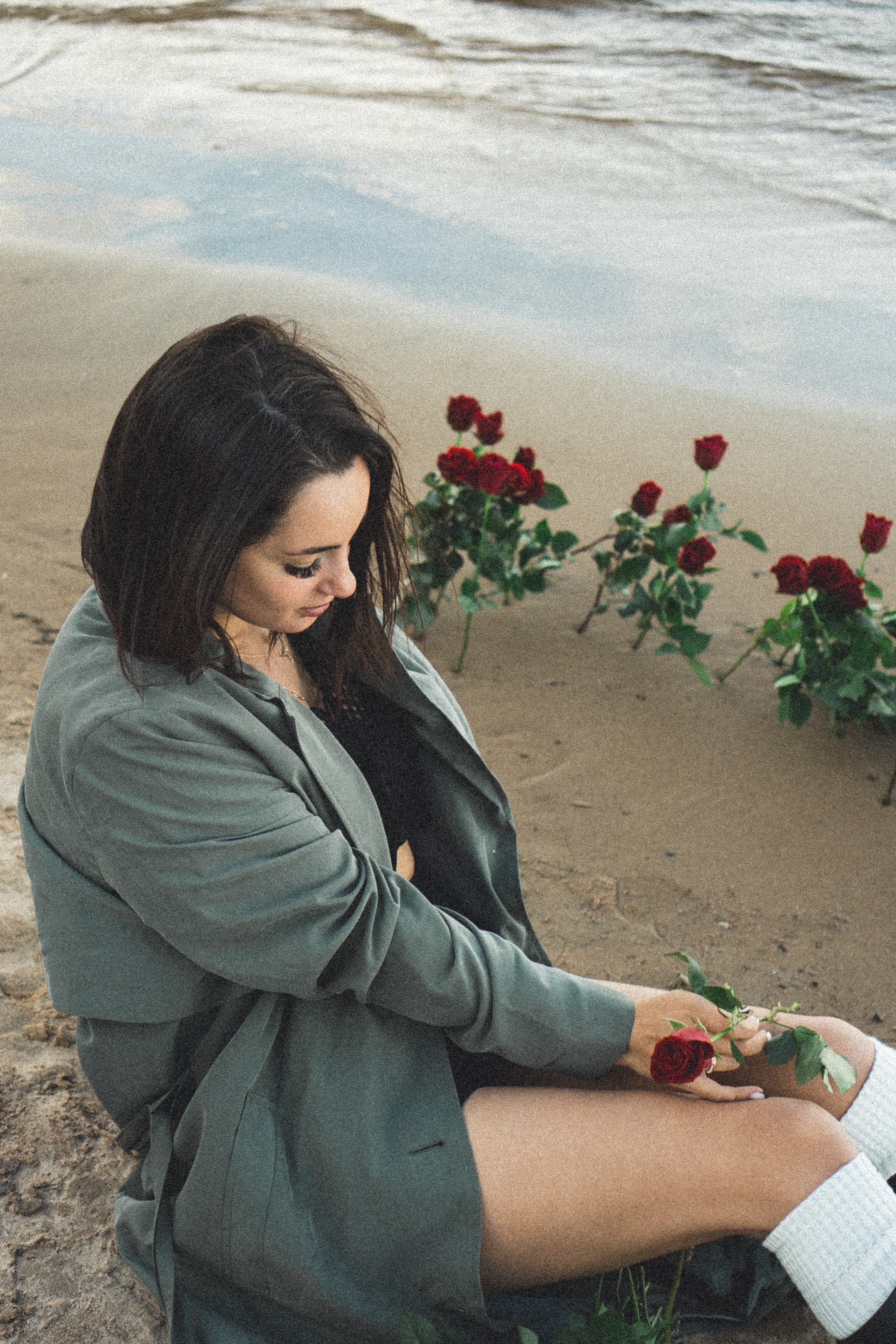 Розы. Профессиональный фотограф, Санкт-Петербург — Виктория Богомолова