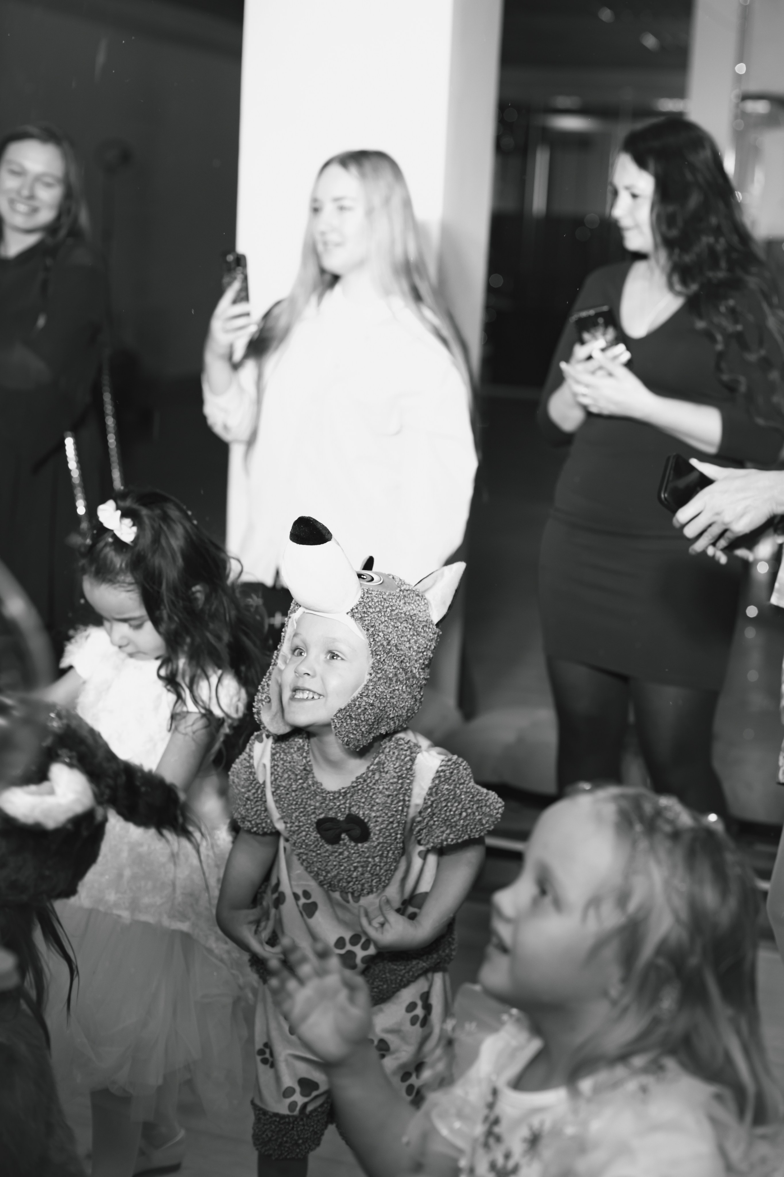 Happy new year. Photokarish