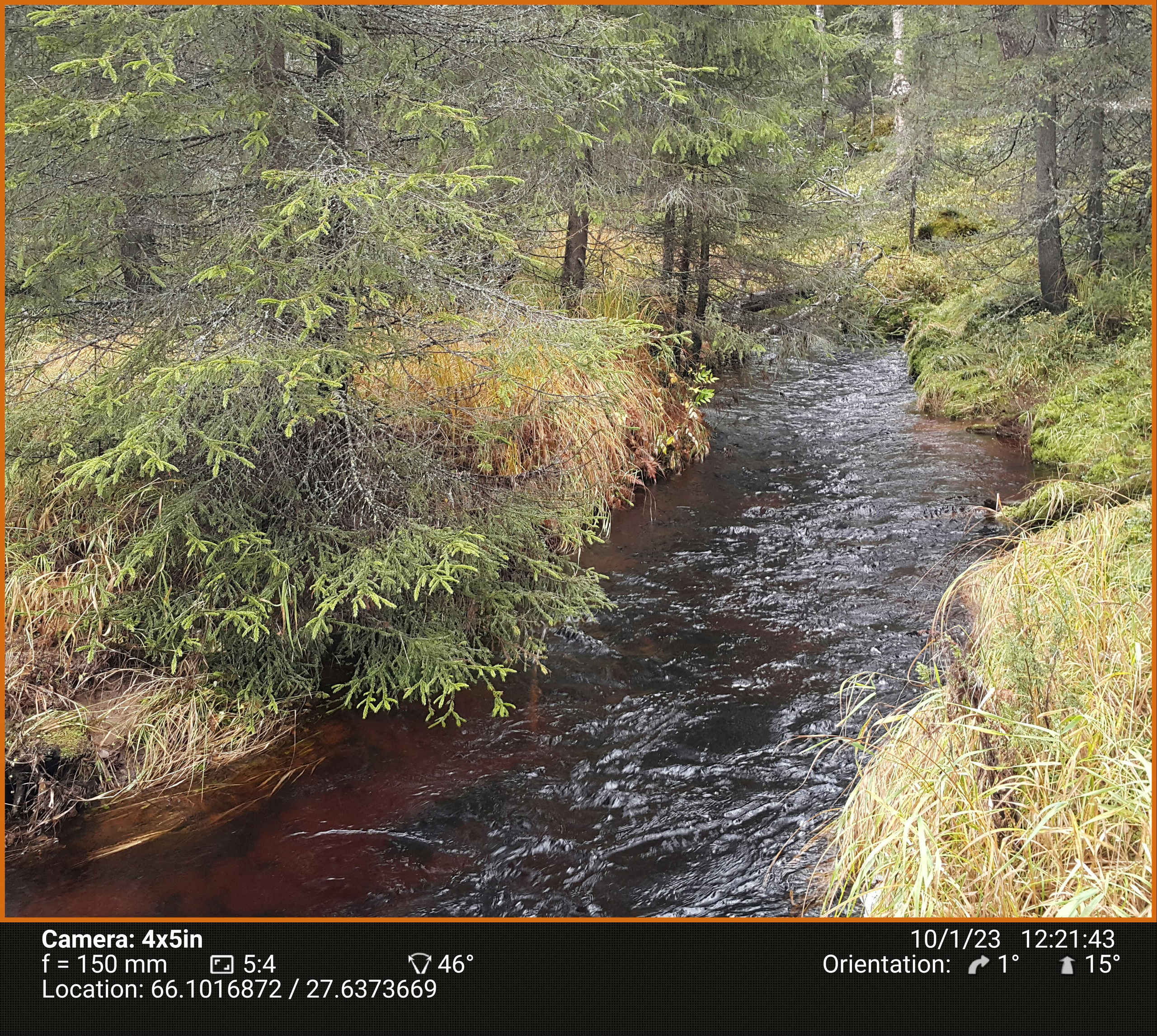 Березовый пруд. Северные Ночи