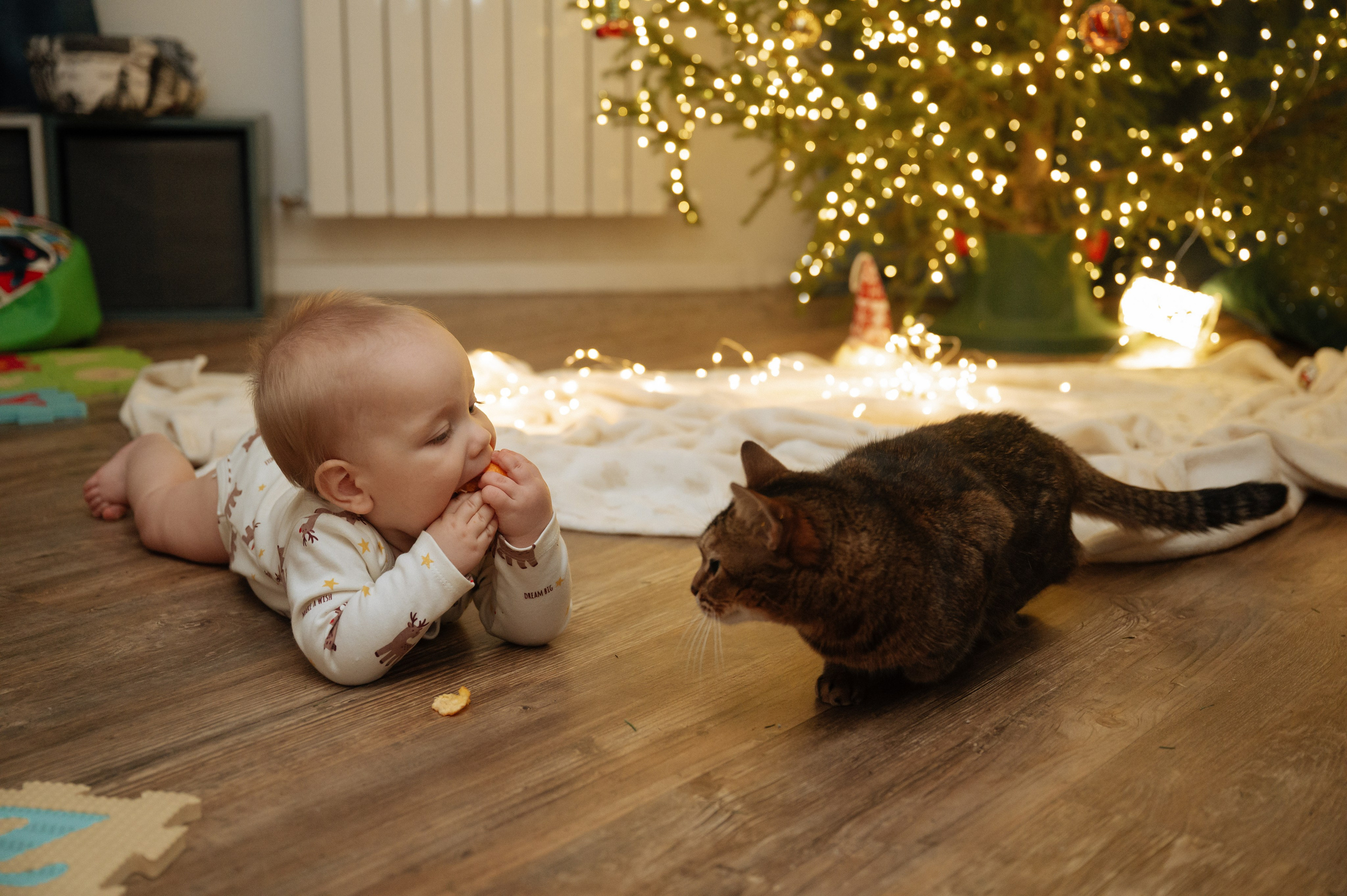 Домашняя съёмка. Фотограф Алёна Мил