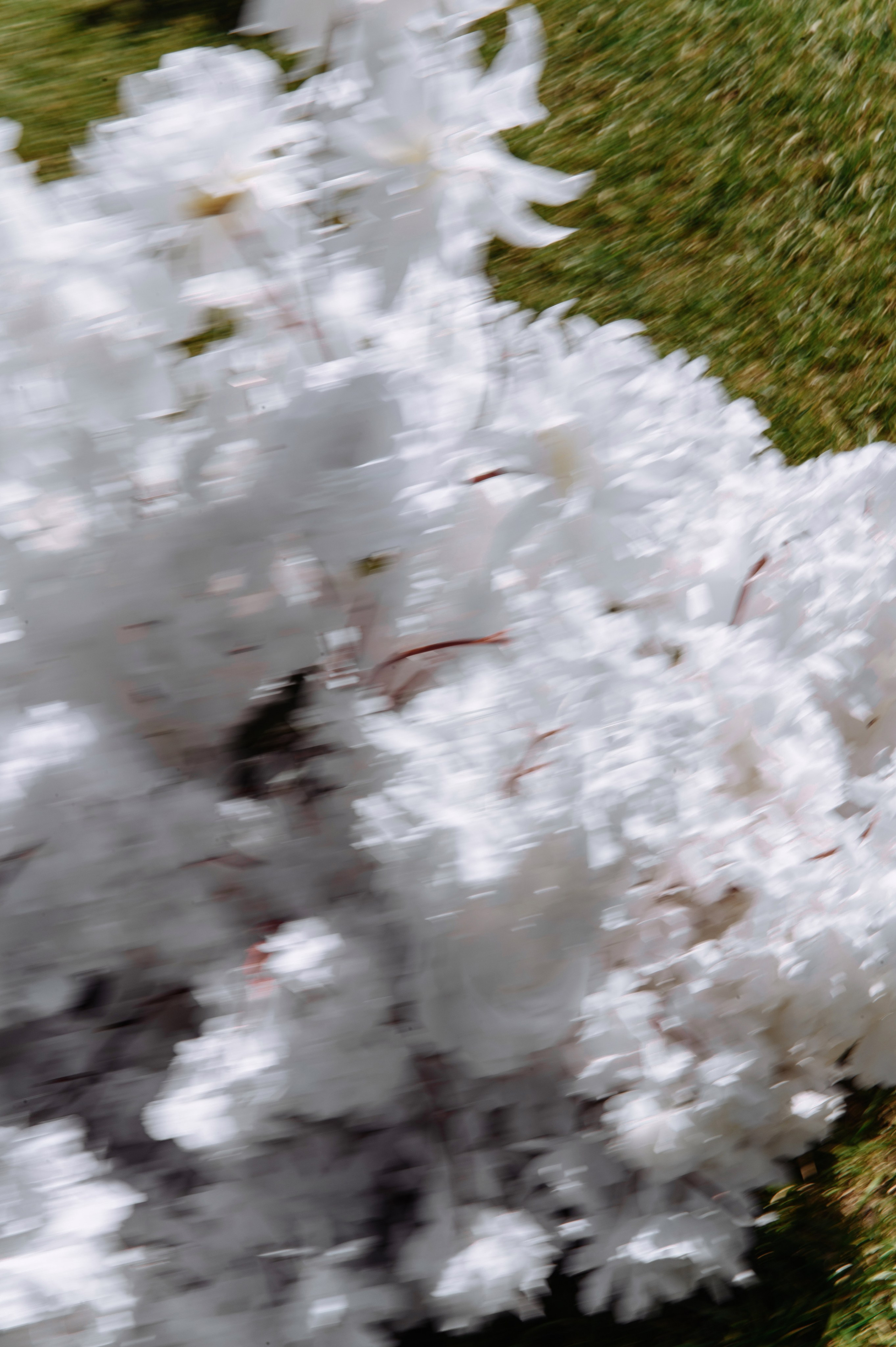 Алексей и Анна. Фотограф Кирилл Верт