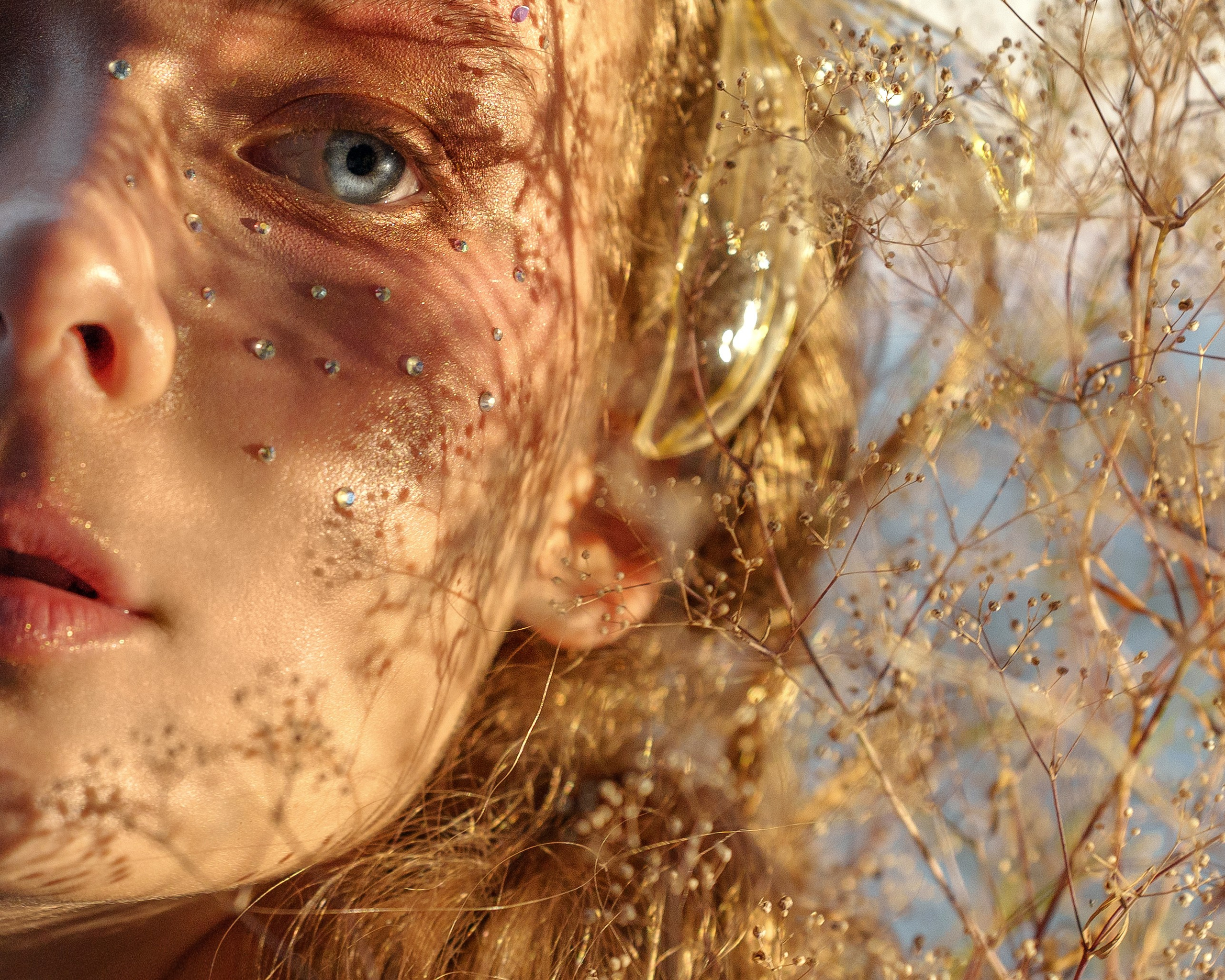 «Утренняя Роса», 2025 год. Фотохудожник в Тольятти и Самаре Валентина Суворова