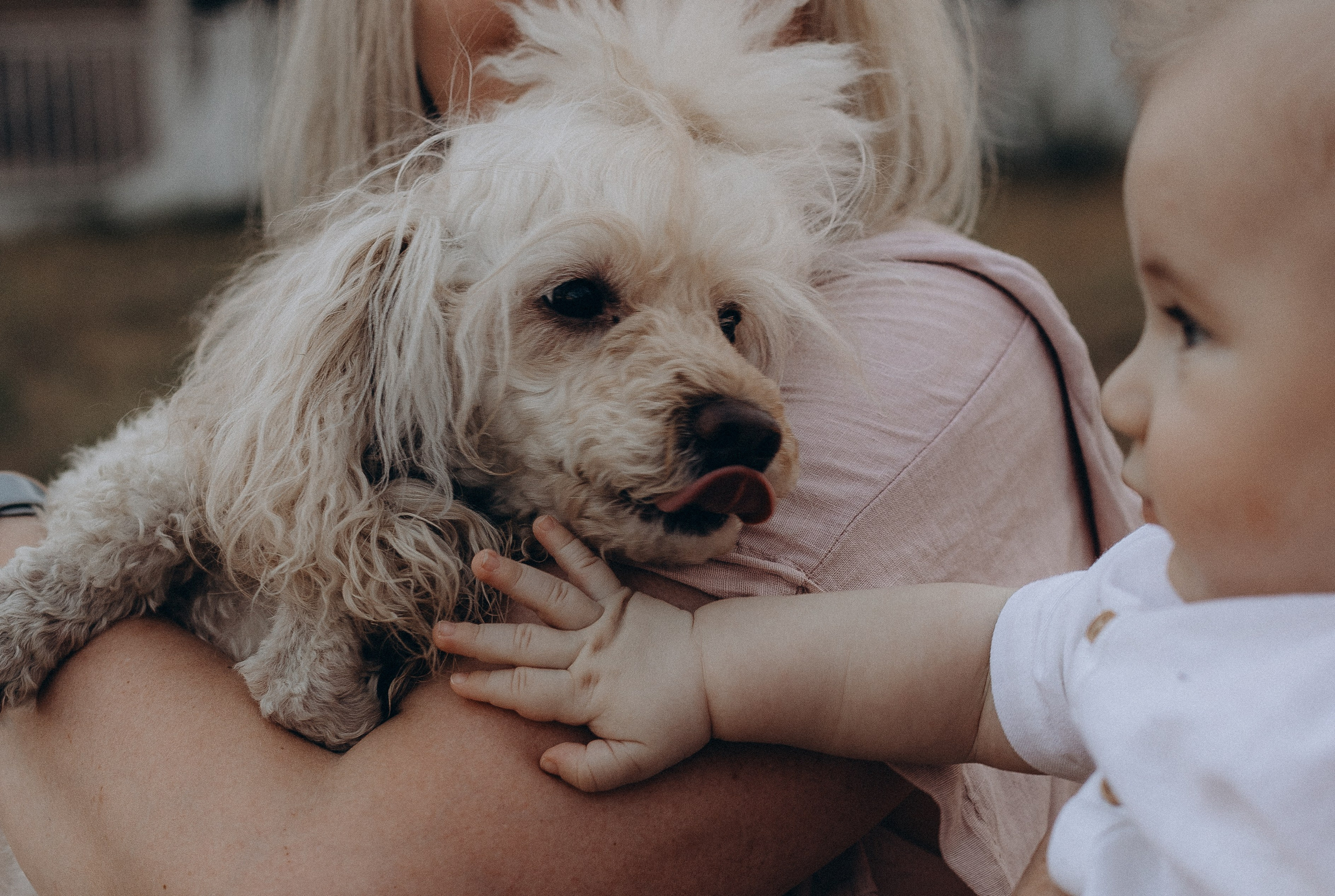 Ольга и Марк. Главная