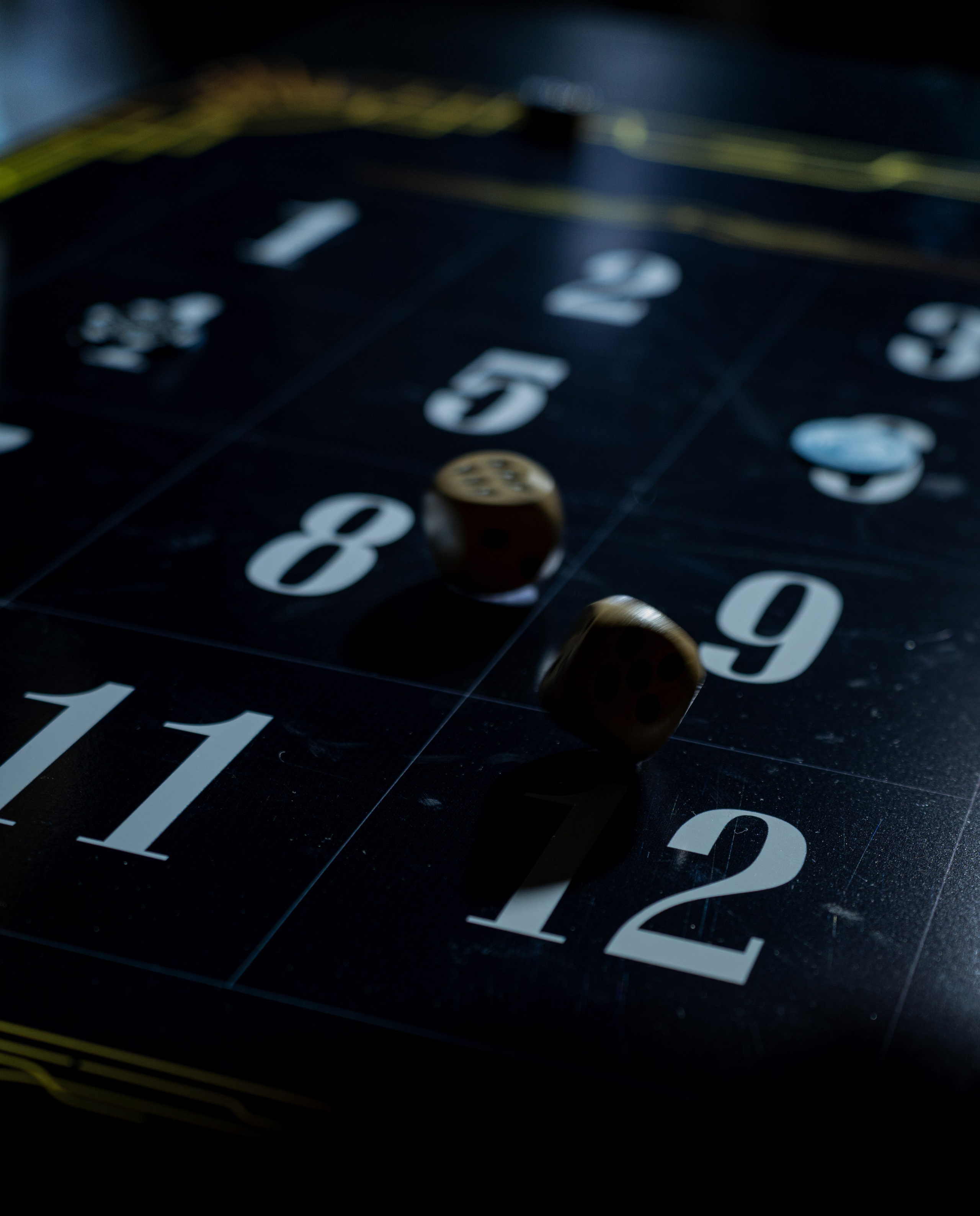 Бабр 2025. Фотограф в Иркутске на все важные случаи жизни